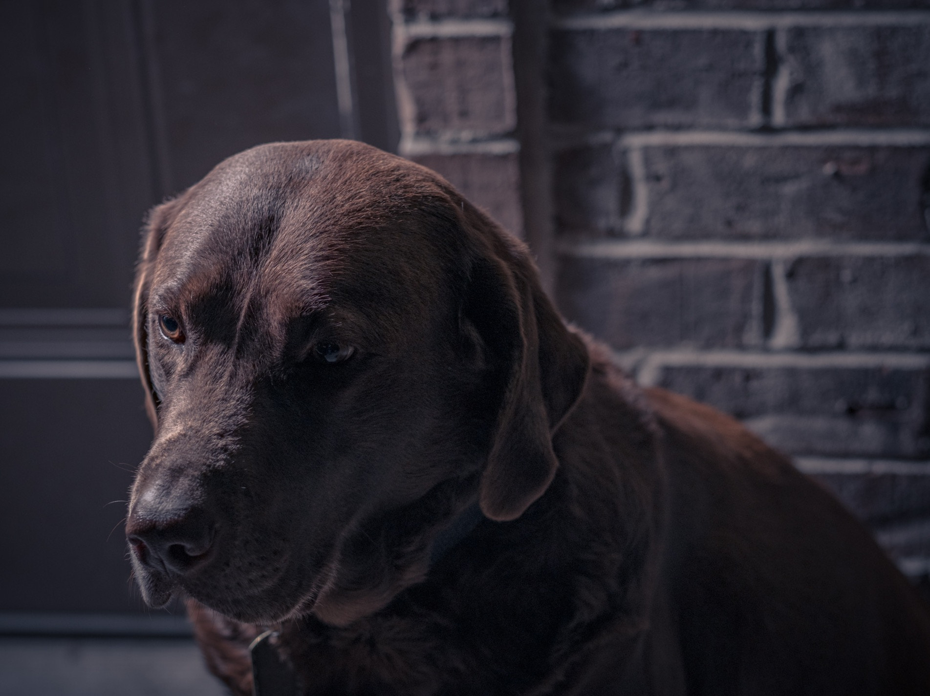 Fujifilm X-T2 + Fujifilm XF 56mm F1.2 R sample photo