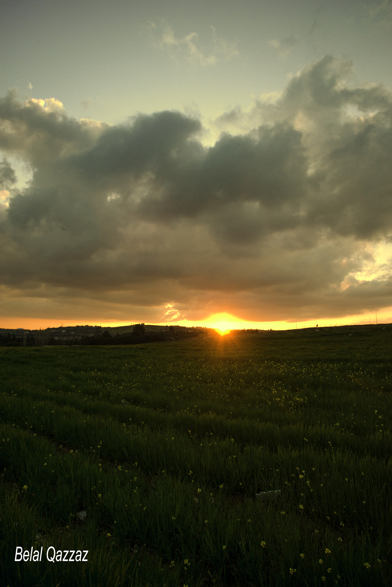 Nikon D800 sample photo
