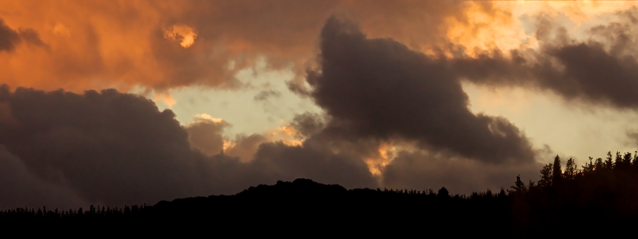 Sigma 150-500mm F5-6.3 DG OS HSM sample photo. Cae la noche photography