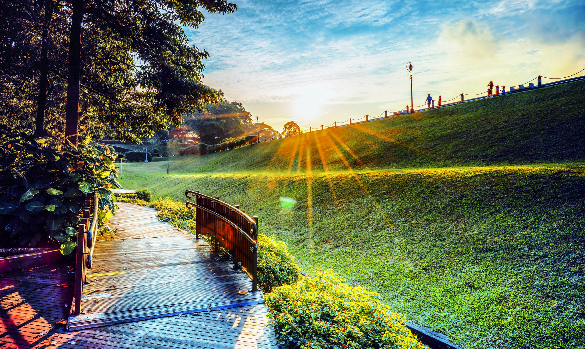 Sony a7R + Sony Vario-Tessar T* FE 16-35mm F4 ZA OSS sample photo. Macritchie photography