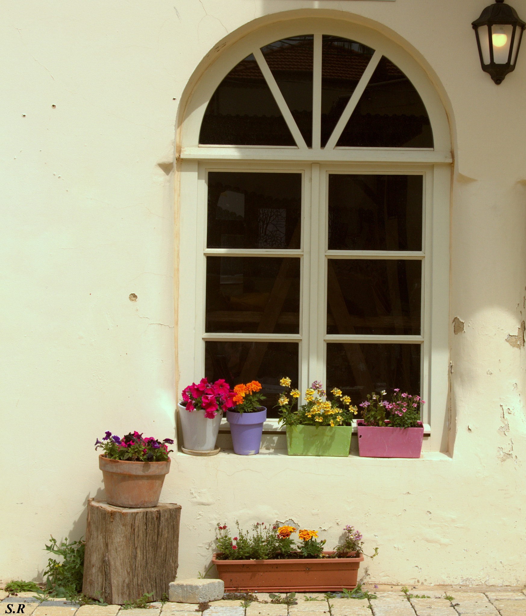 Canon EF 28-135mm F3.5-5.6 IS USM sample photo. Colors in white photography