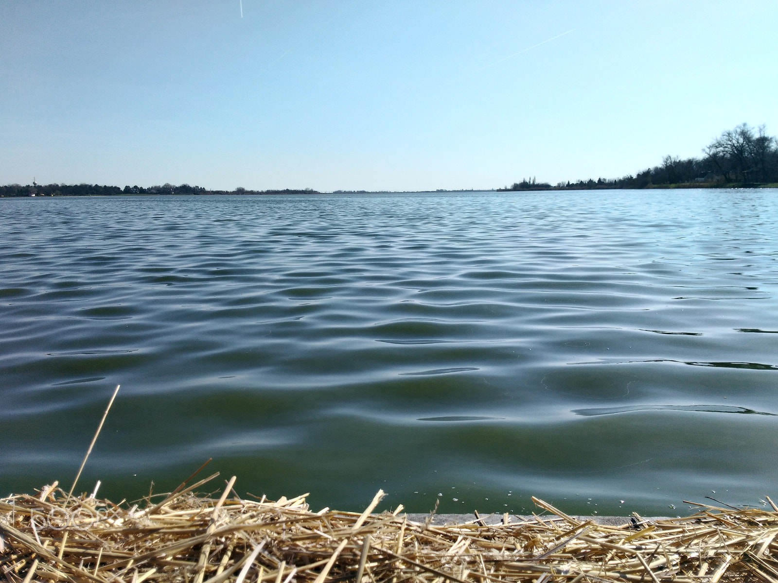 ASUS ZenFone 3 Laser (ZC551KL) sample photo. Hay water photography