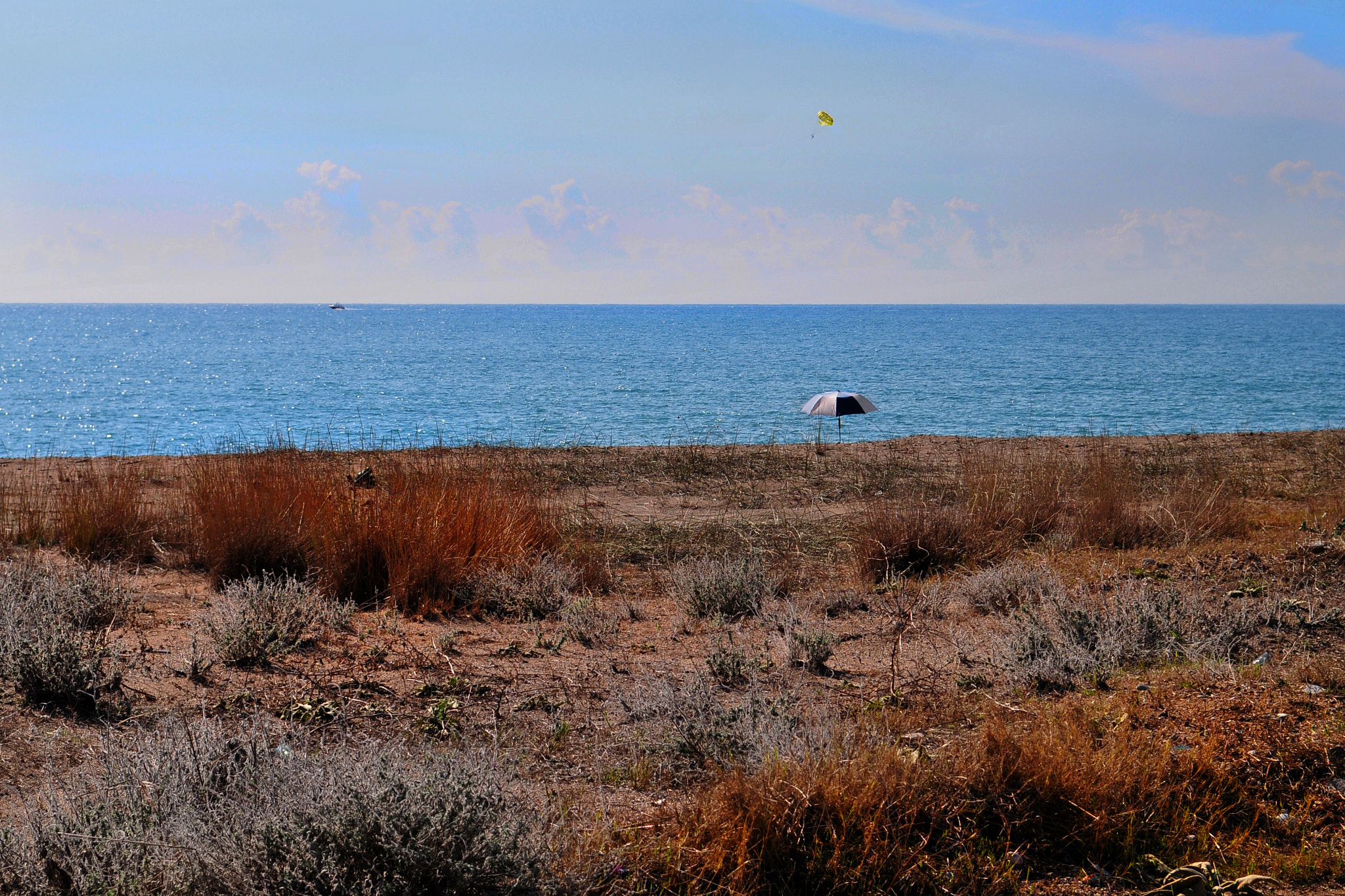 Nikon D300 sample photo. Solitary photography