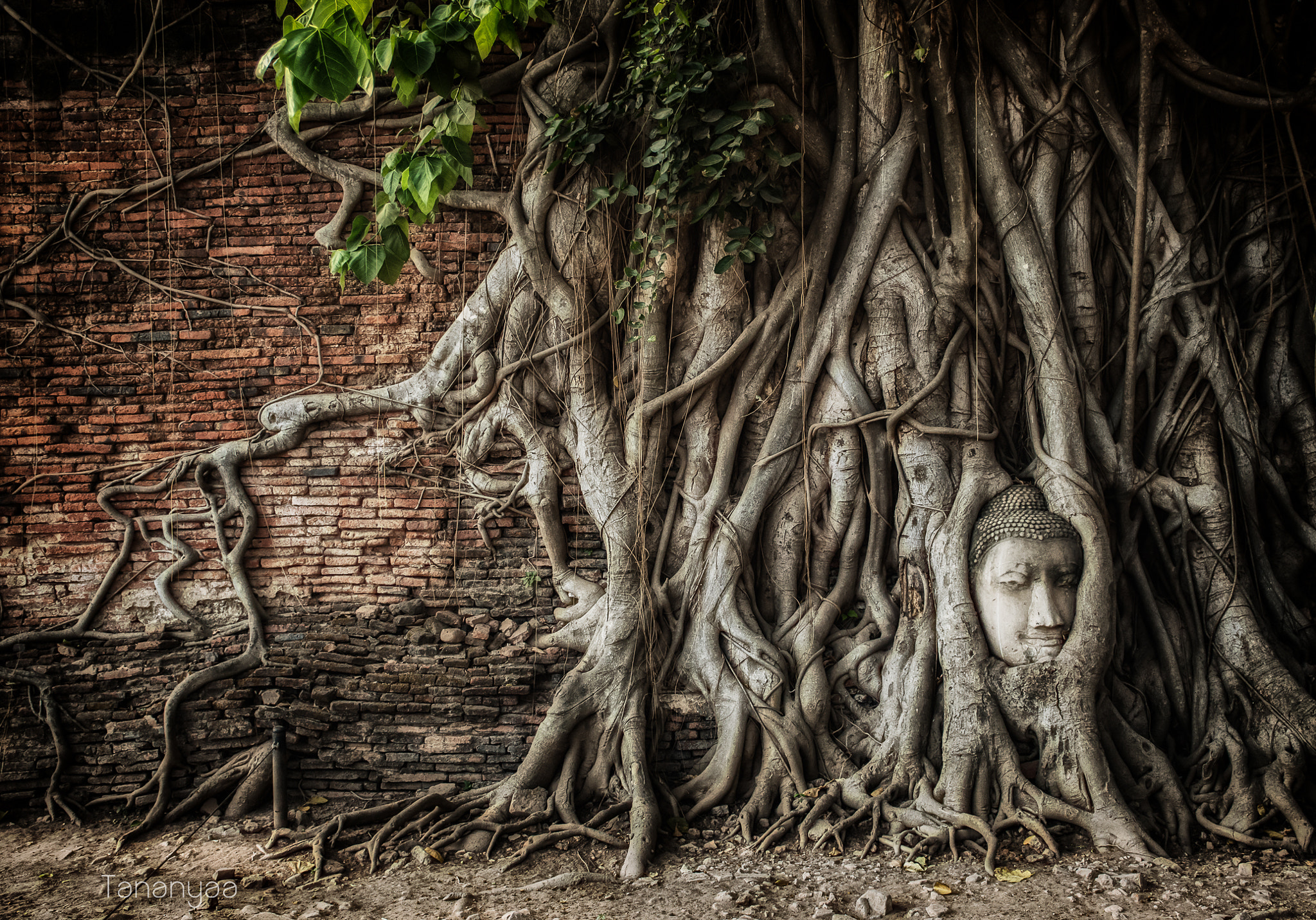 Nikon D3200 sample photo. Sacred embrace photography