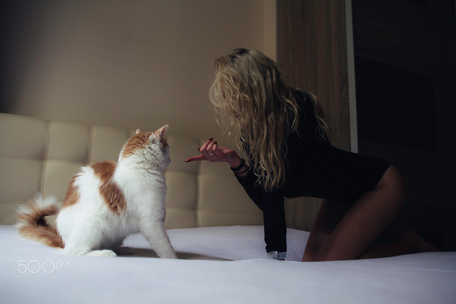 Canon EOS 7D sample photo. Cat vs pussy cat photography