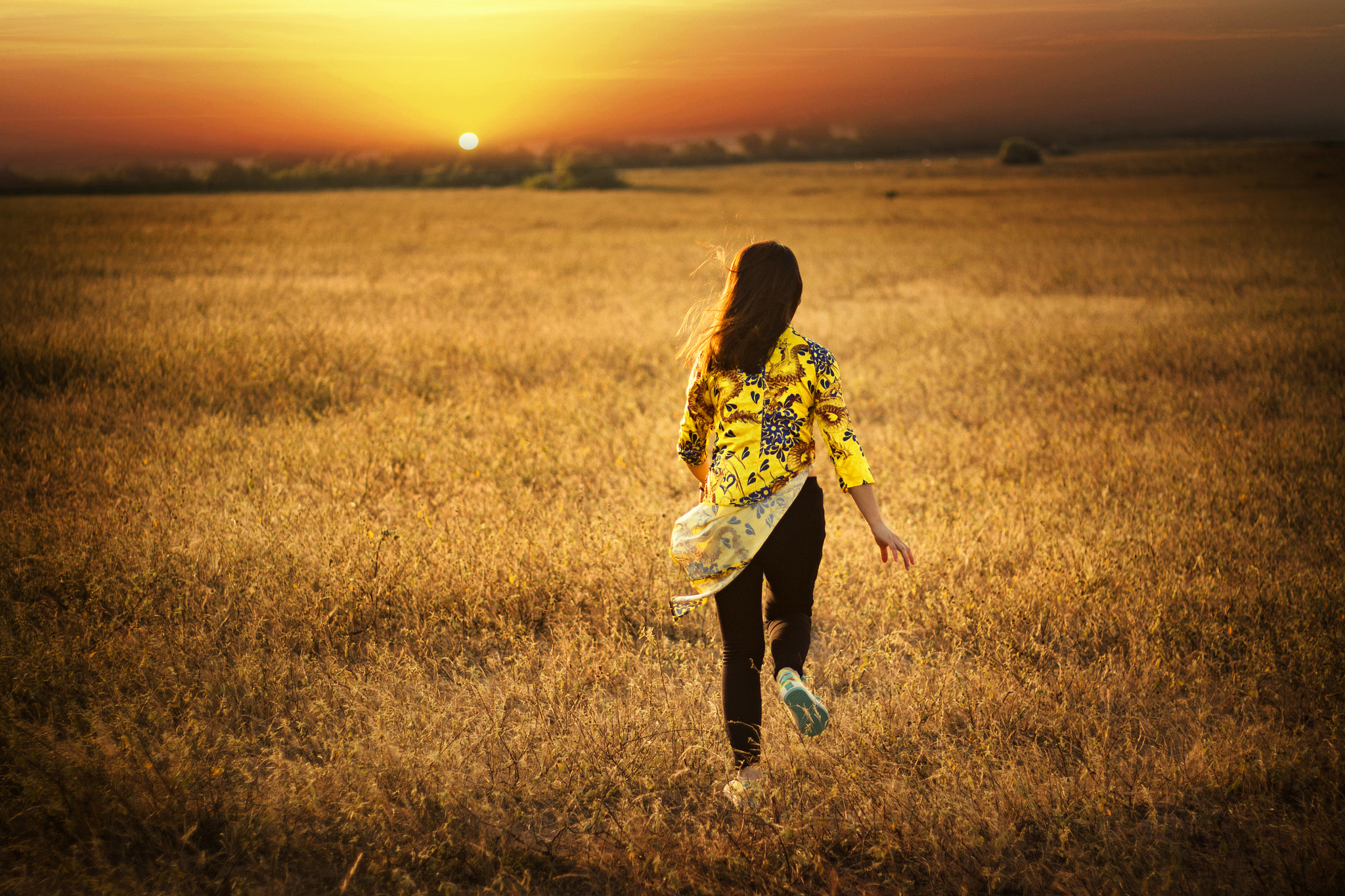 Canon EOS 50D + Canon EF 50mm F1.8 STM sample photo. Chasing the sun photography
