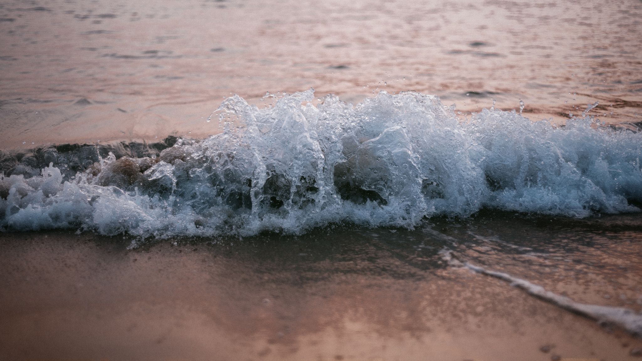 Nikon D610 + Nikon AF Nikkor 50mm F1.8D sample photo. Moment photography