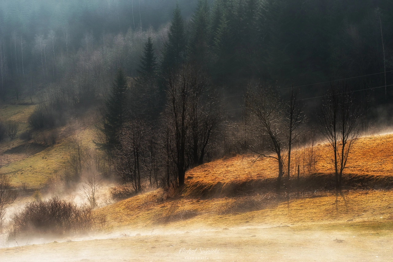 Sigma sample photo. Zawoja smyraki. photography