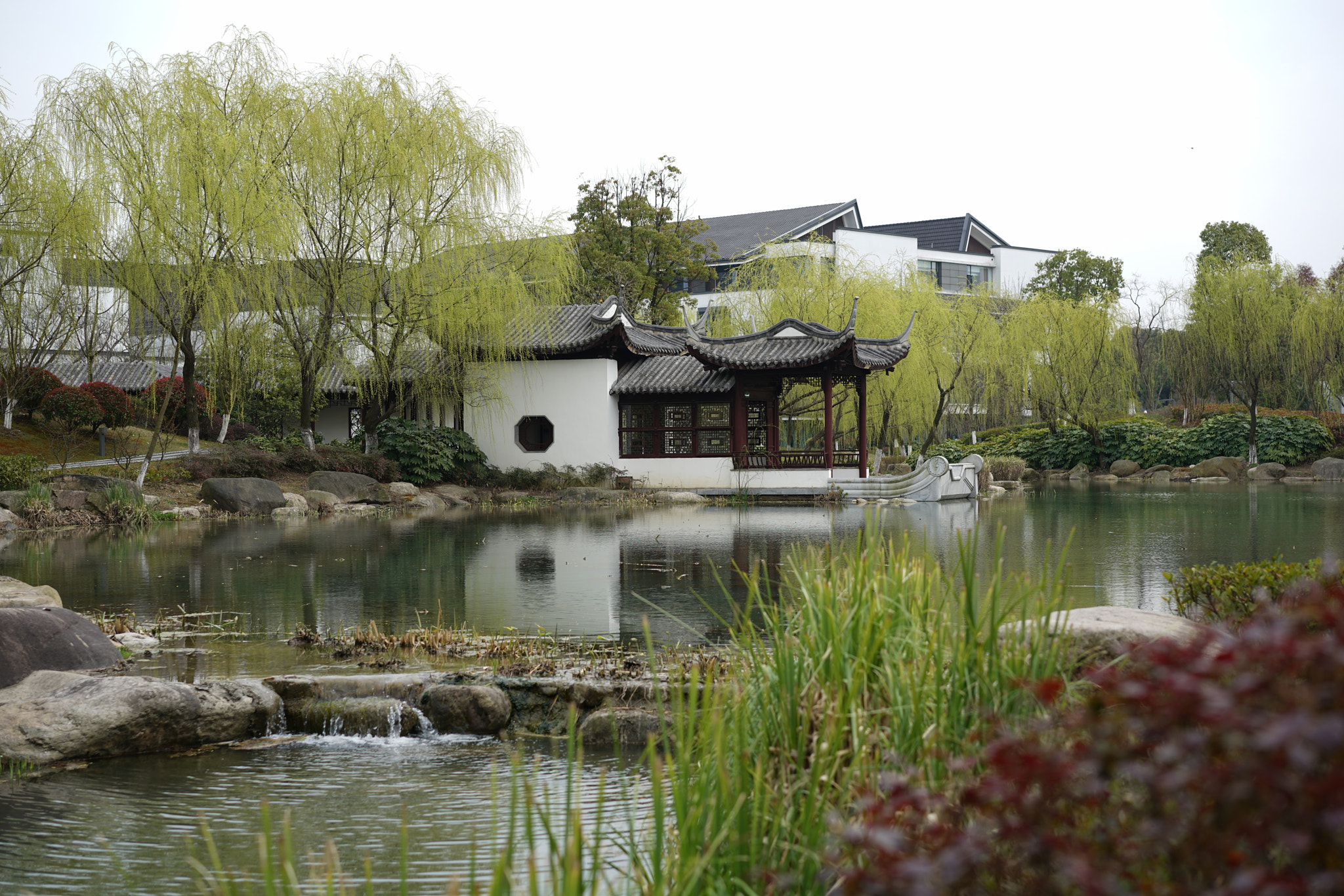 Sony a7R II + Sony Sonnar T* FE 55mm F1.8 ZA sample photo. Suzhou photography
