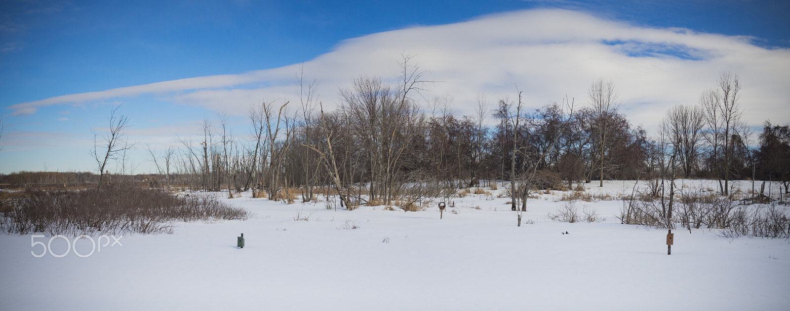 Olympus PEN E-PL5 sample photo. Winter landscape photography