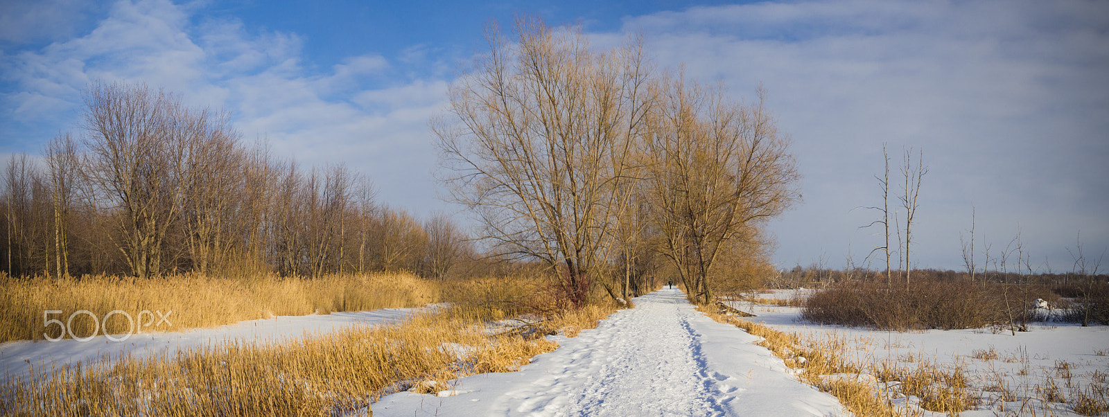 Olympus PEN E-PL5 sample photo. Winter landscape photography