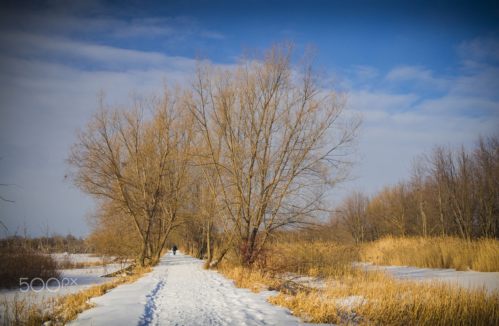 Olympus PEN E-PL5 sample photo. Winter landscape photography