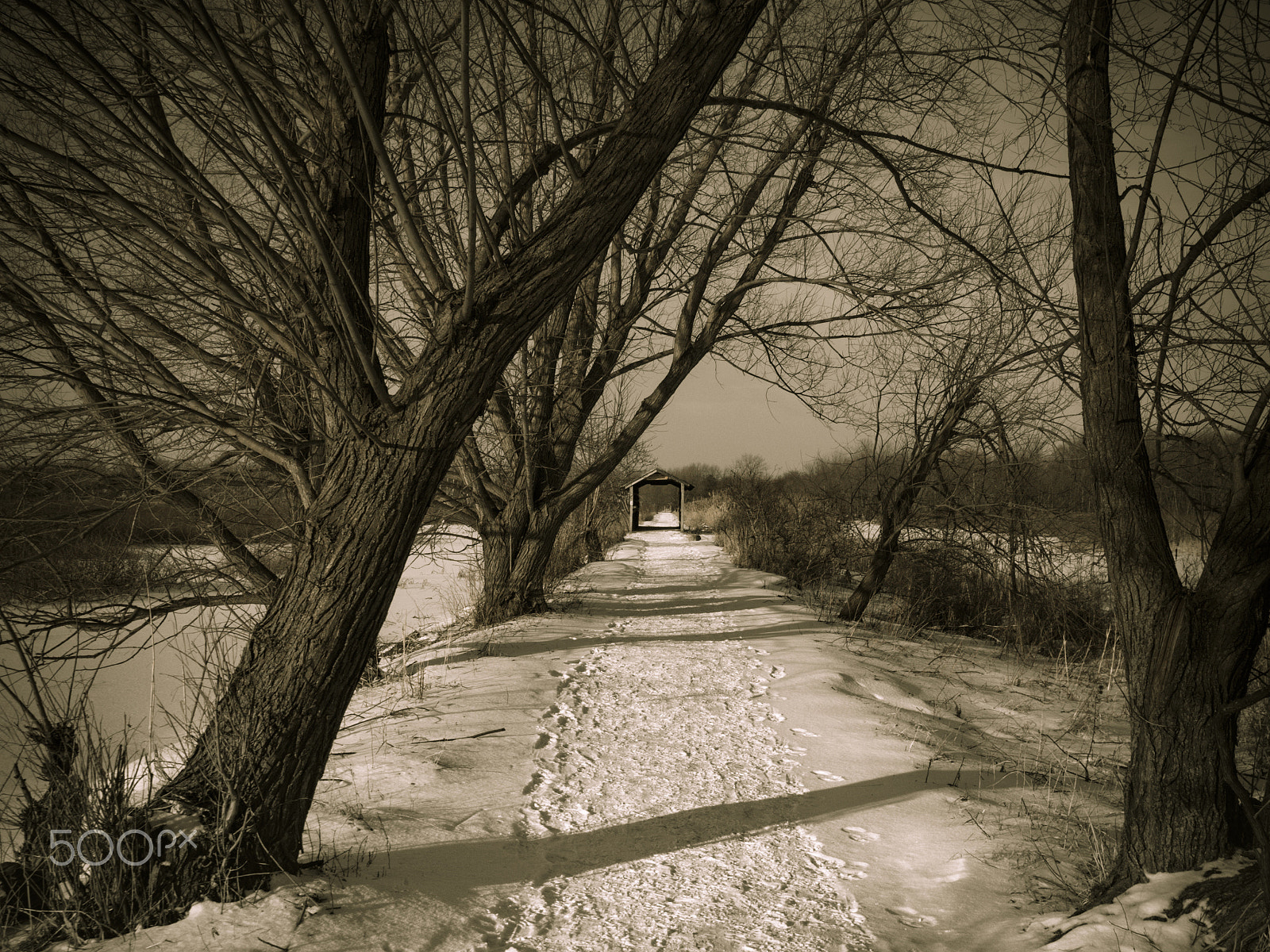 Olympus PEN E-PL5 sample photo. Winter landscape photography
