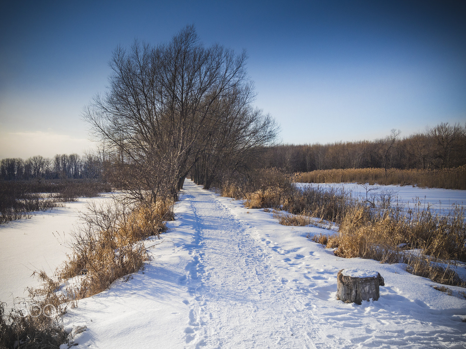Olympus PEN E-PL5 sample photo. Winter landscape photography
