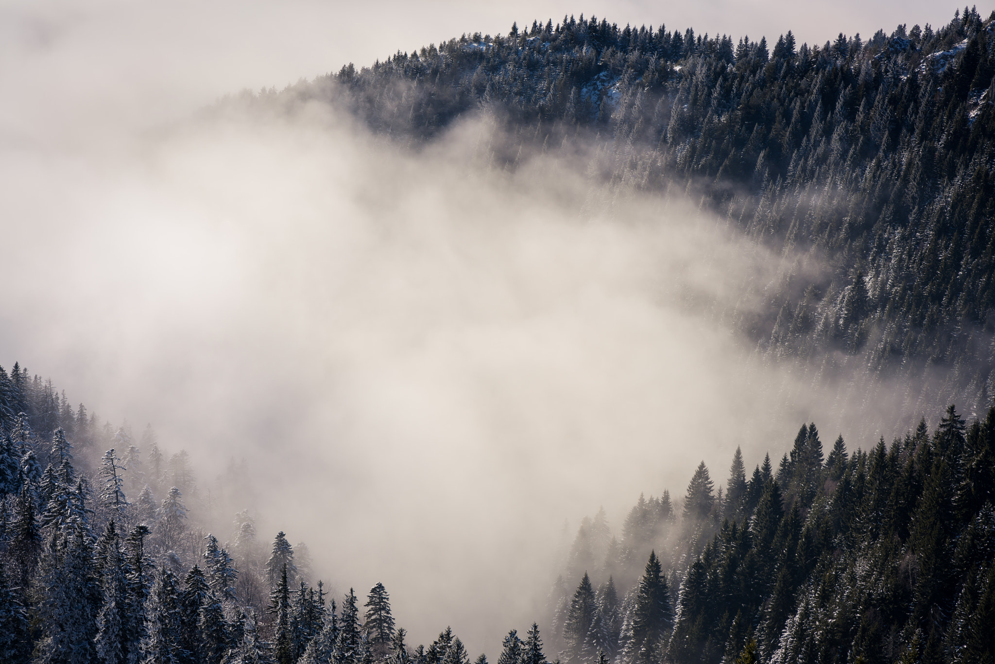 Sony a7R II + ZEISS Batis 85mm F1.8 sample photo. Silence photography