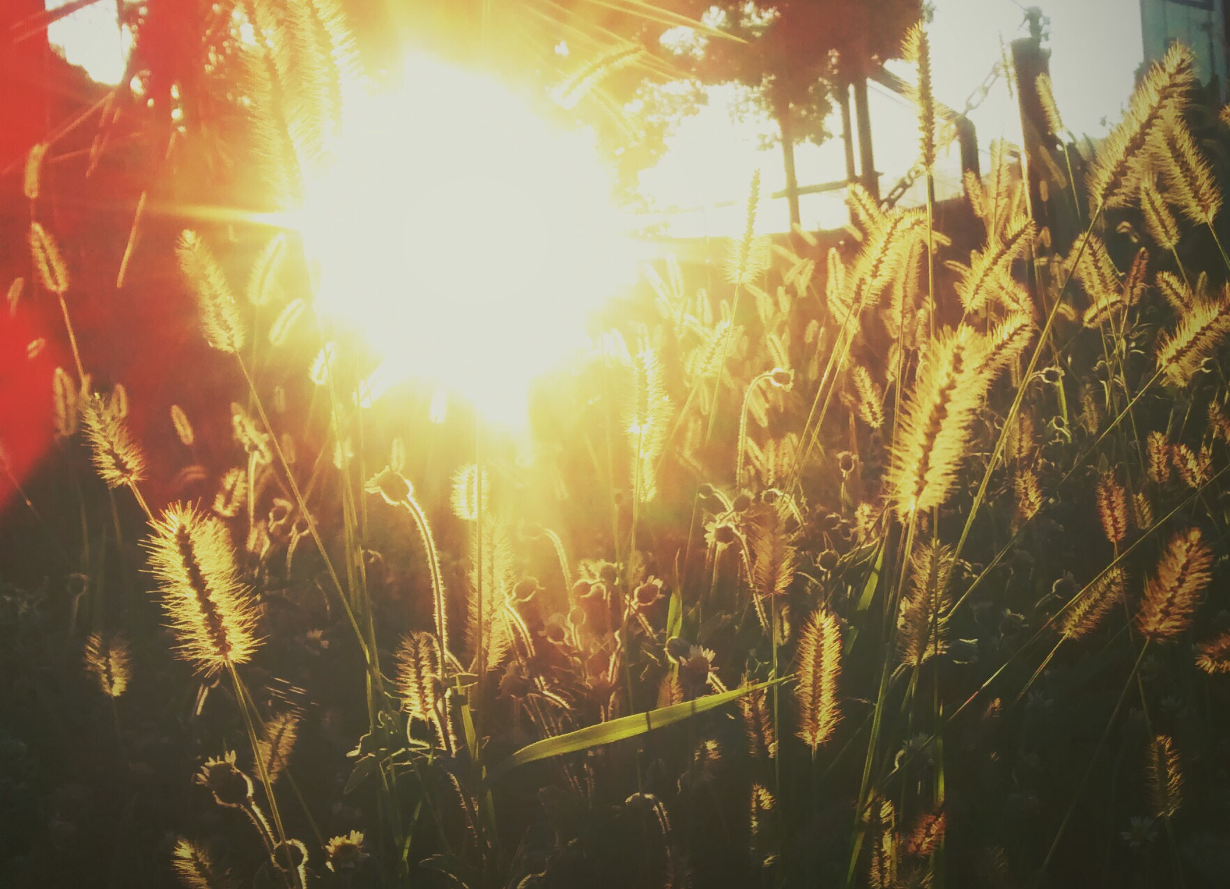 Motorola Moto G (1st Gen) sample photo. Sunset gold photography