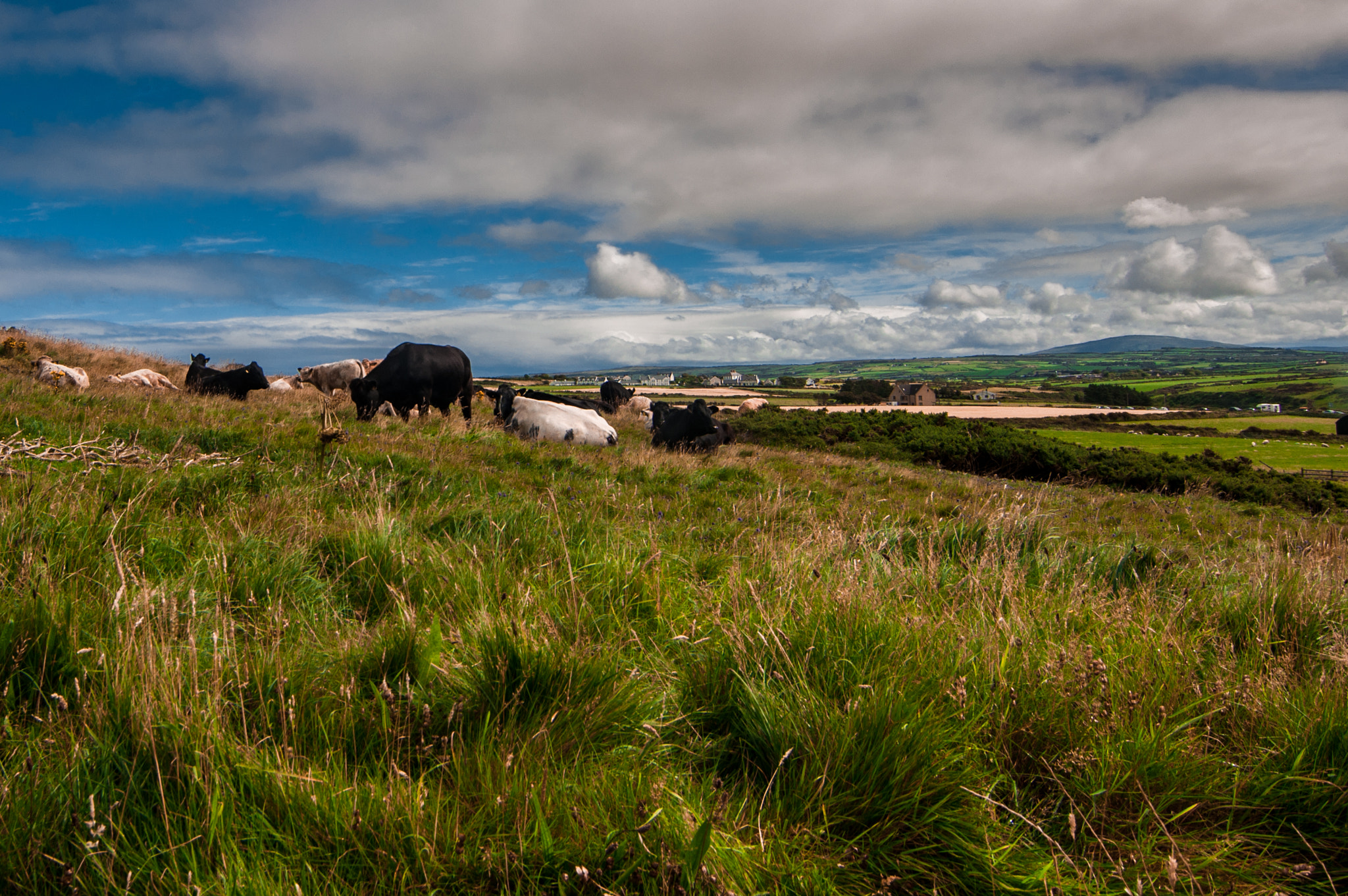 Nikon D90 sample photo. Ireland photography