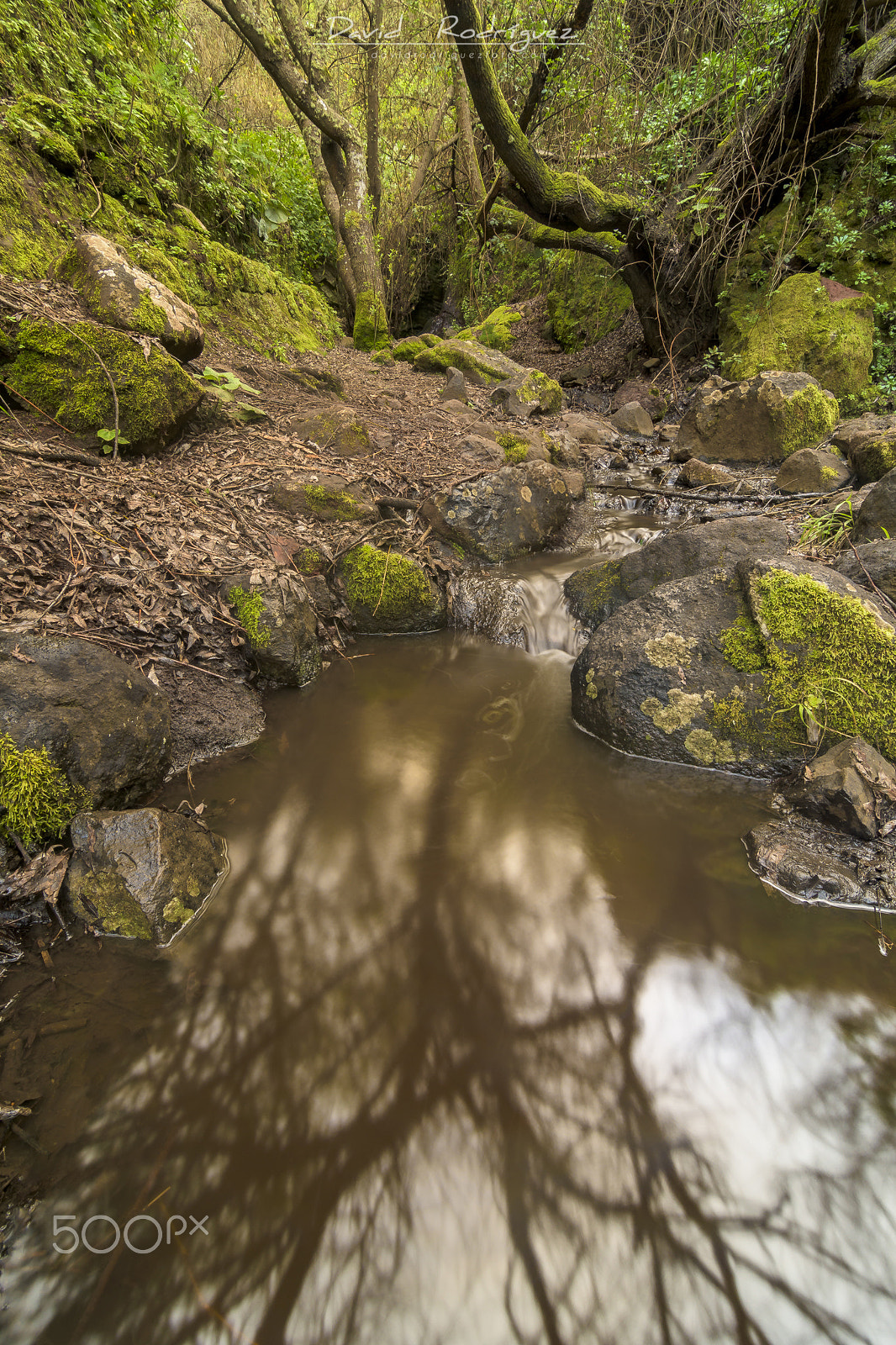 Tokina AT-X Pro 11-16mm F2.8 DX sample photo. Riverbed reflections photography