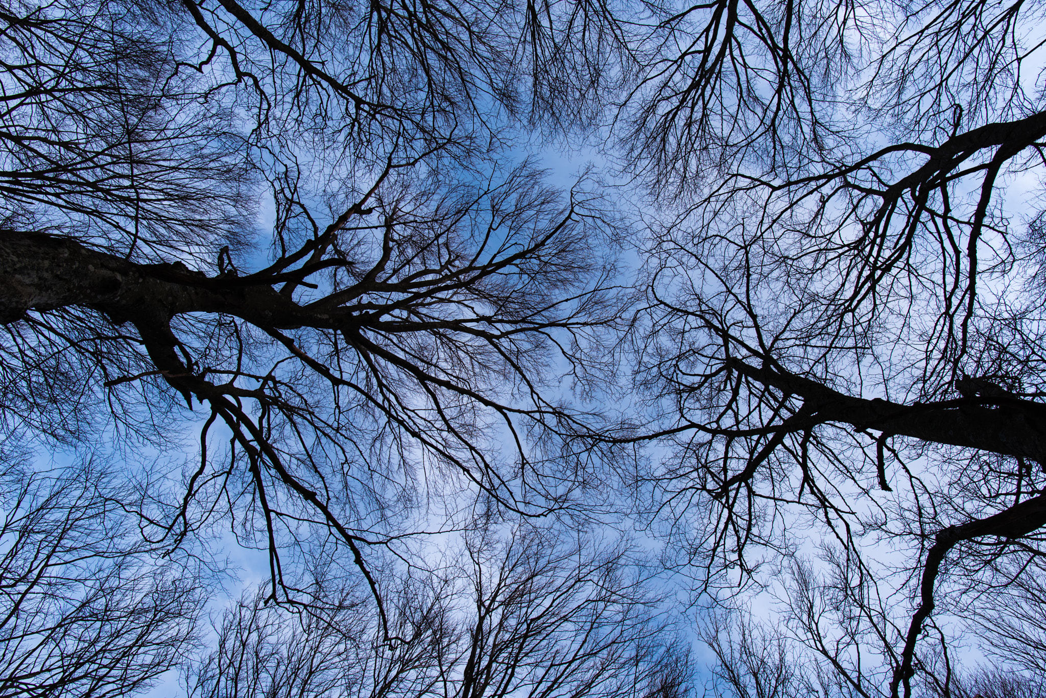 Nikon D750 + Nikon AF-S Nikkor 20mm F1.8G ED sample photo. Trame nel cielo photography