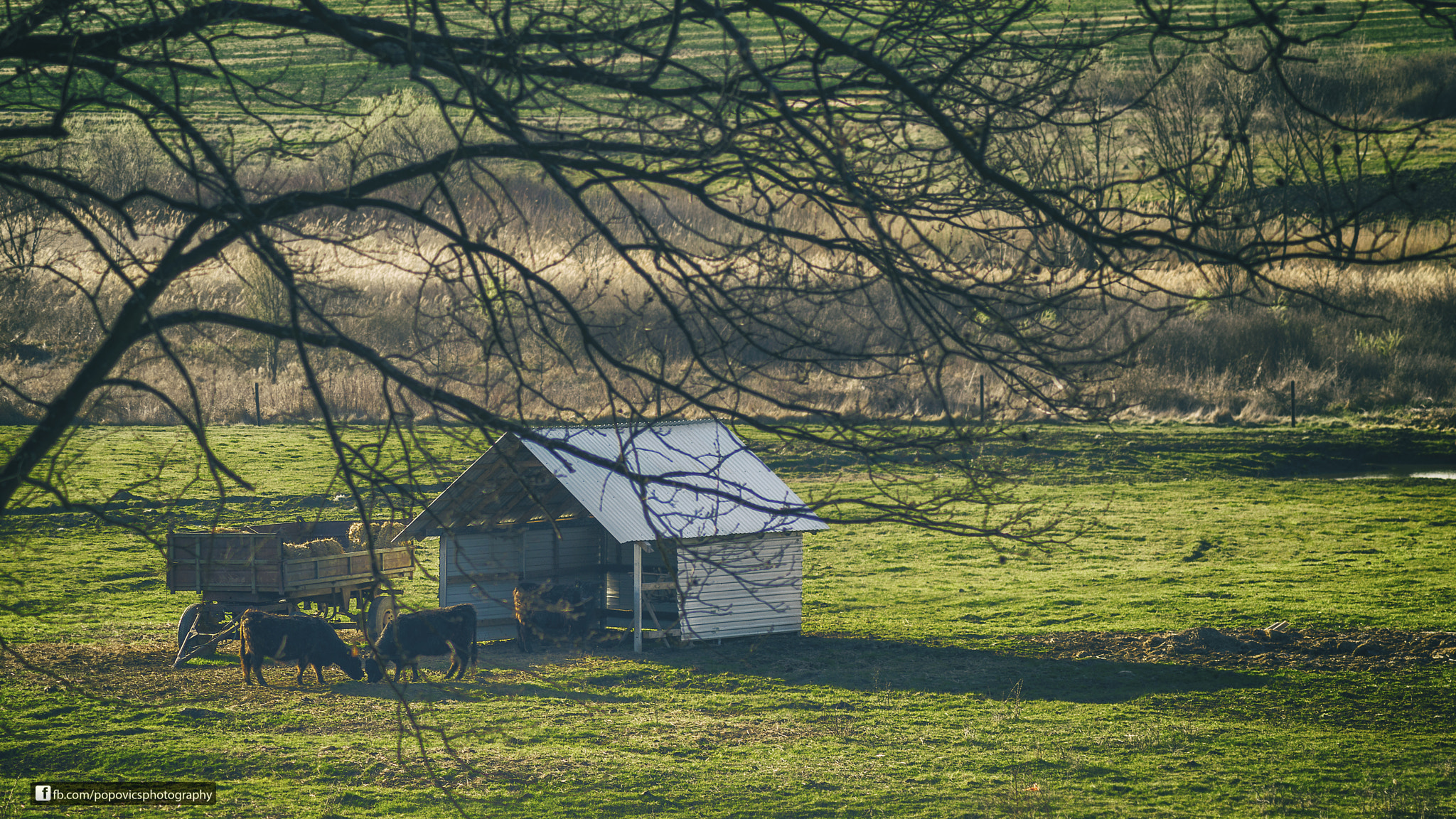 Nikon D3200 sample photo. Peisaj pitoresc photography