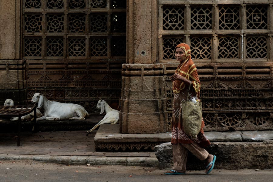 Sony a7R + Sony Vario Tessar T* FE 24-70mm F4 ZA OSS sample photo. Ahmedabad. gujarat. india. photography