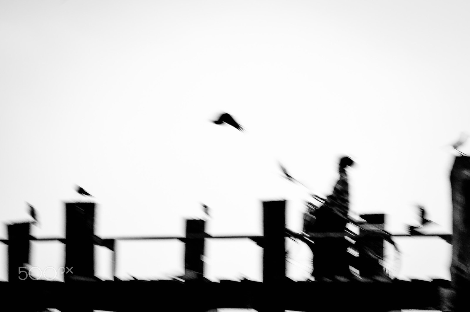 Nikon D90 sample photo. Walking on the u bein bridge with bike photography