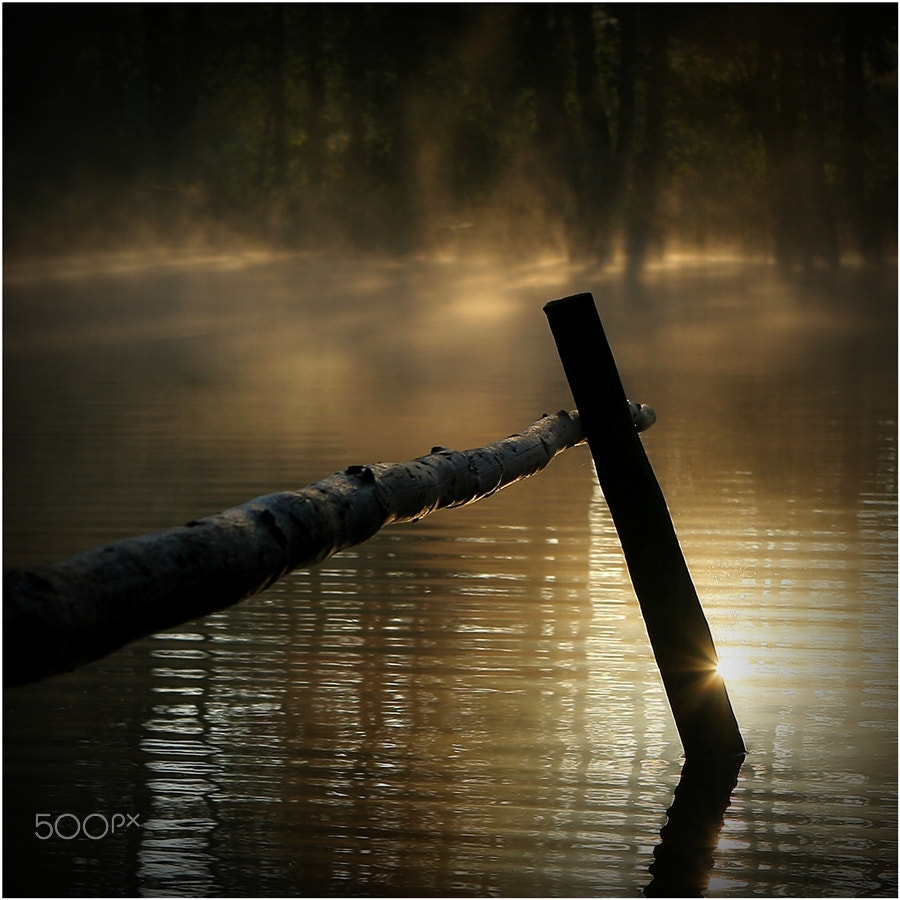 Canon EF 24-70mm F2.8L USM sample photo. Hańcza lake, poland photography