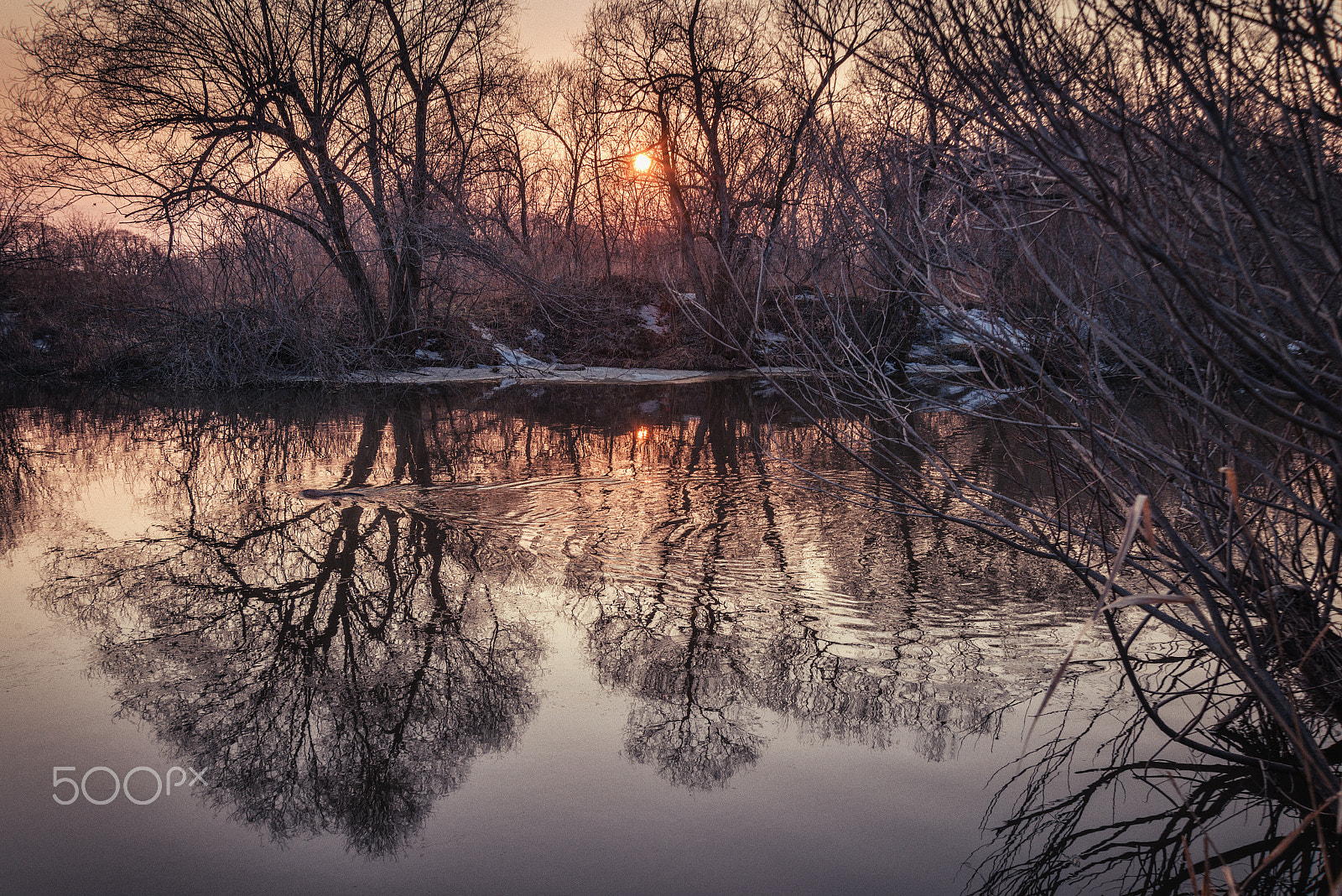 Nikon D800 sample photo. Silhouettes of dark trees are reflected in the water / early spring or early autumn, the first... photography