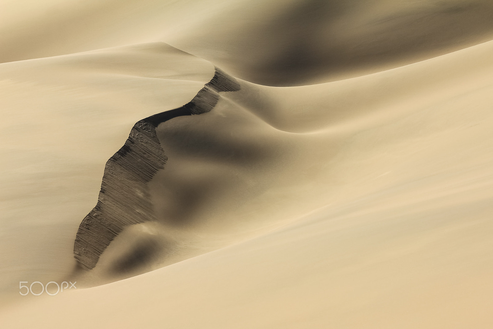 Canon EOS 550D (EOS Rebel T2i / EOS Kiss X4) sample photo. Shifting sand dune contrasts. desert or beach sand textured background. photography