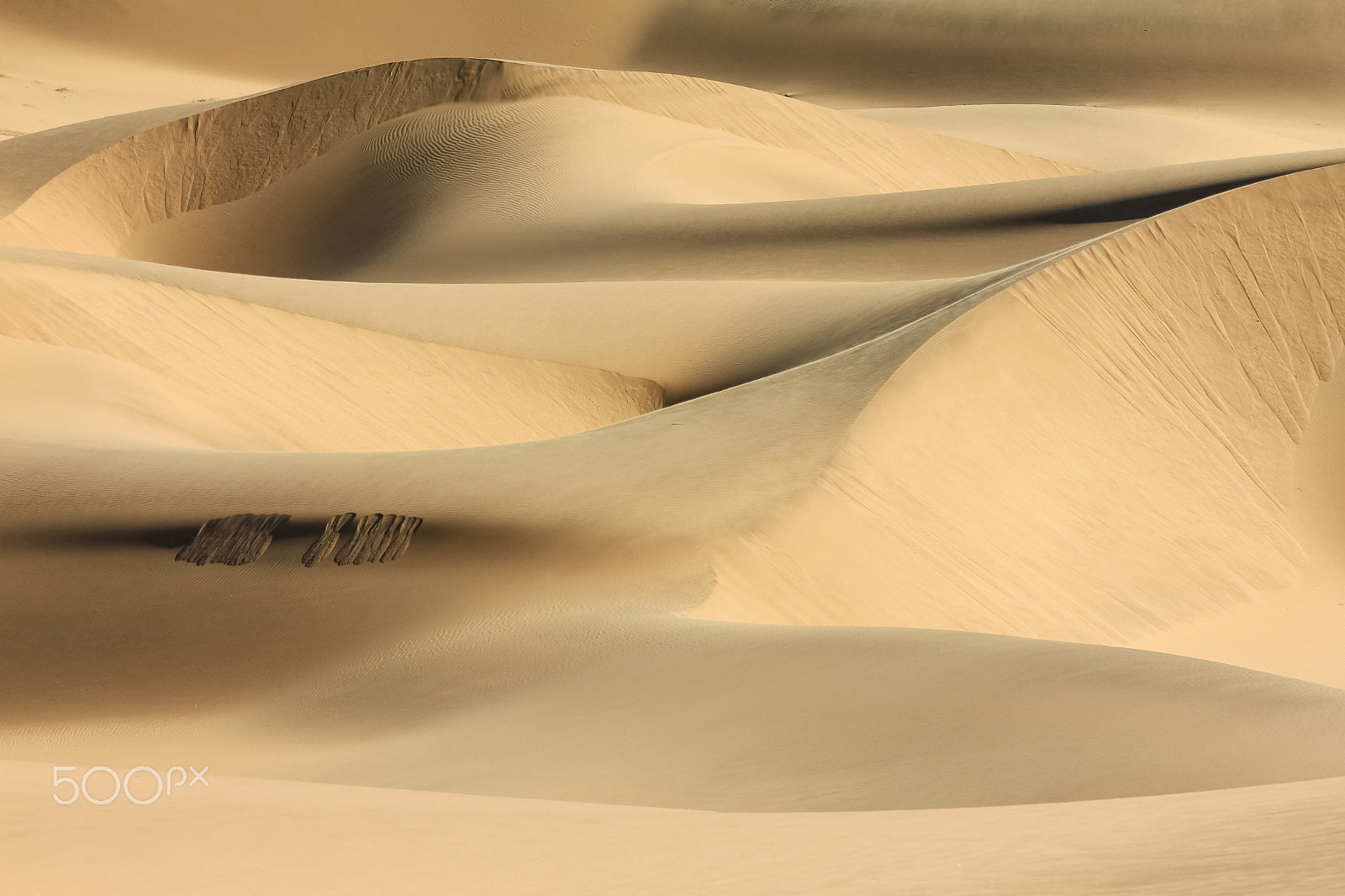 Canon EOS 550D (EOS Rebel T2i / EOS Kiss X4) sample photo. Big sand dunes. desert or beach sand textured background. photography