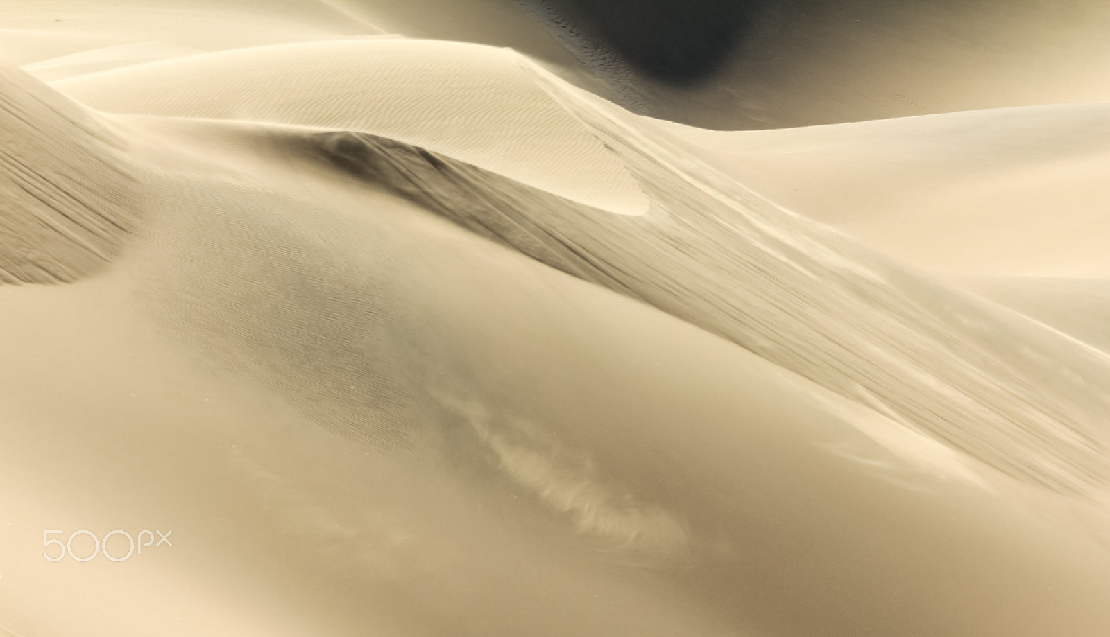 Canon EOS 550D (EOS Rebel T2i / EOS Kiss X4) sample photo. Shifting sand dune contrasts. desert or beach sand textured background. photography