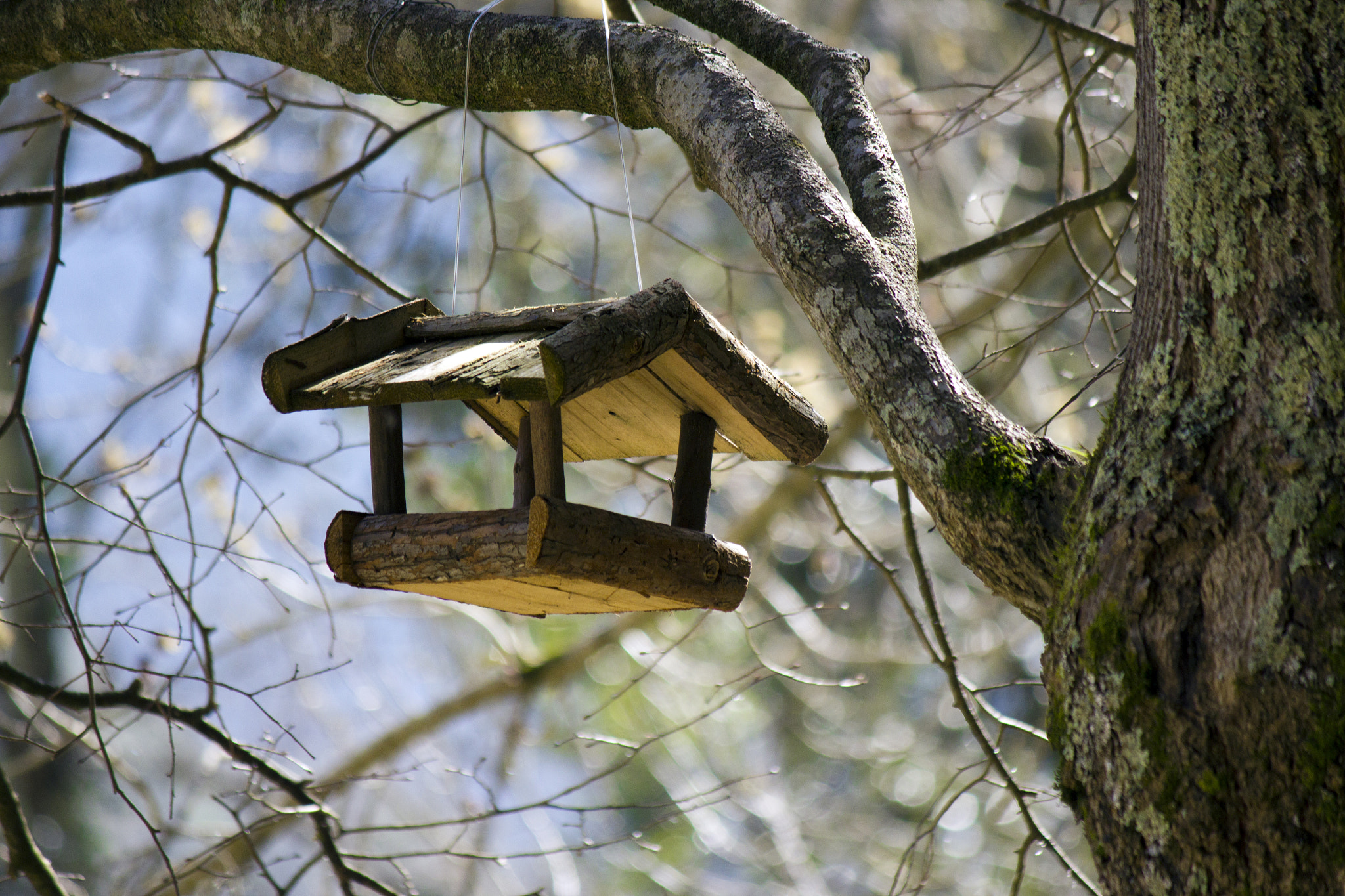 Canon EF-S 55-250mm F4-5.6 IS sample photo. Sant aniol photography
