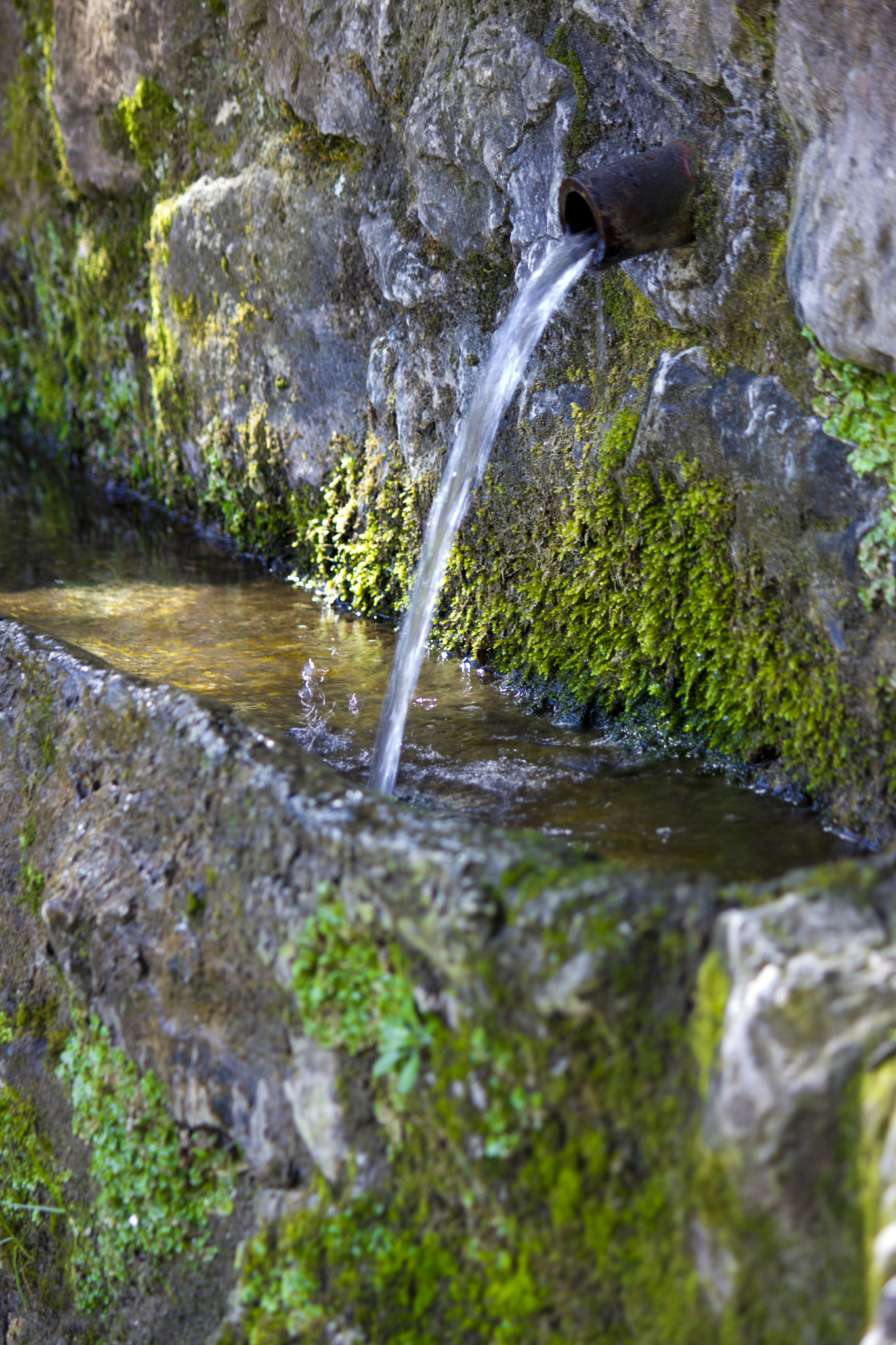 Canon EF-S 55-250mm F4-5.6 IS sample photo. Sant aniol photography