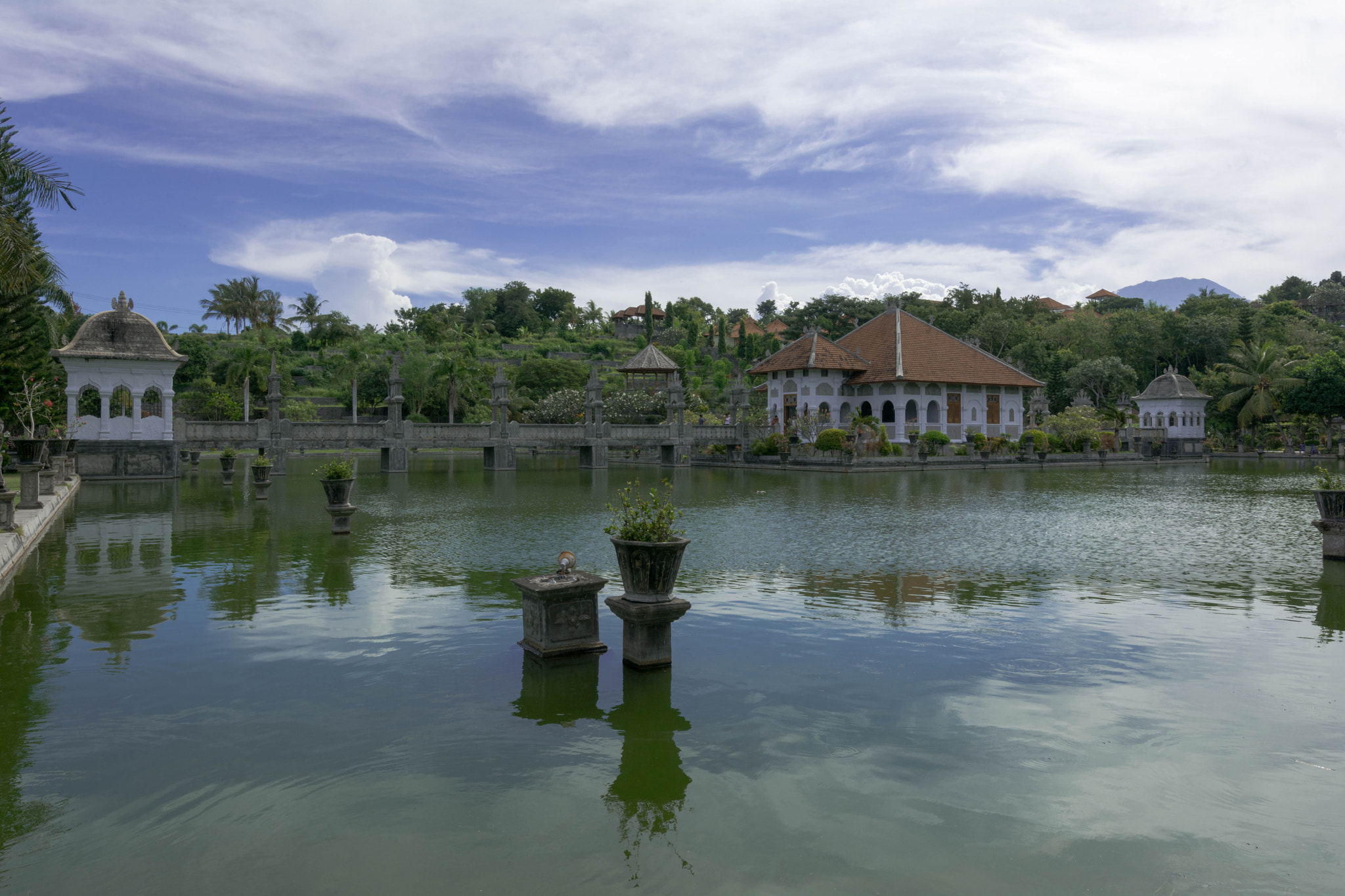 Nikon D7100 sample photo. Taman soekasada ujung photography