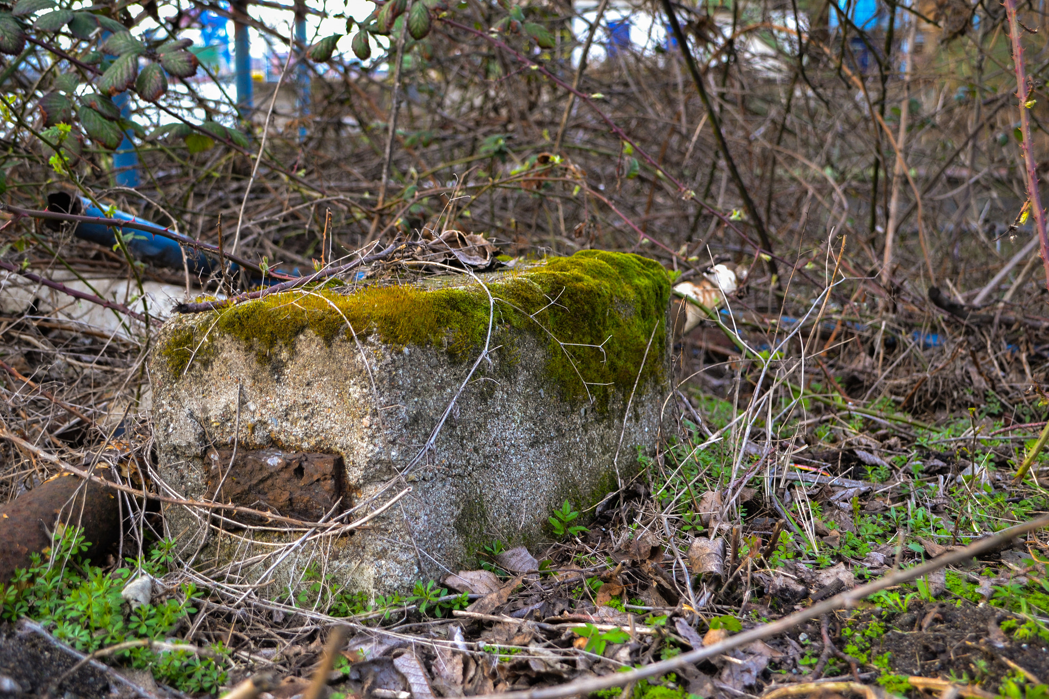 Tamron 18-200mm F3.5-6.3 Di II VC sample photo. Weathered photography