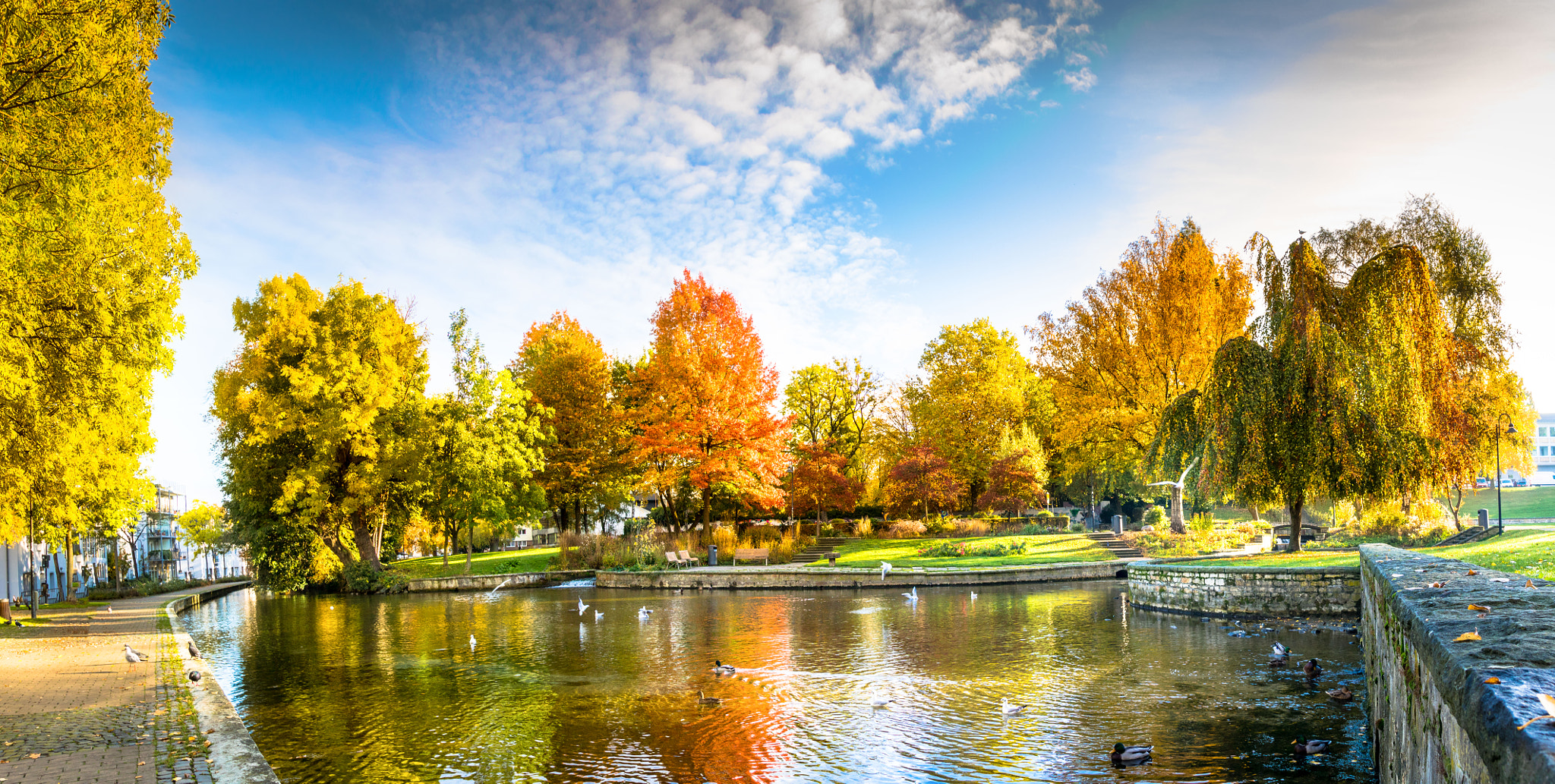 Canon EOS 760D (EOS Rebel T6s / EOS 8000D) + Canon EF-S 17-55mm F2.8 IS USM sample photo. Paderborn - paderquellgebiet (autumn colors) photography