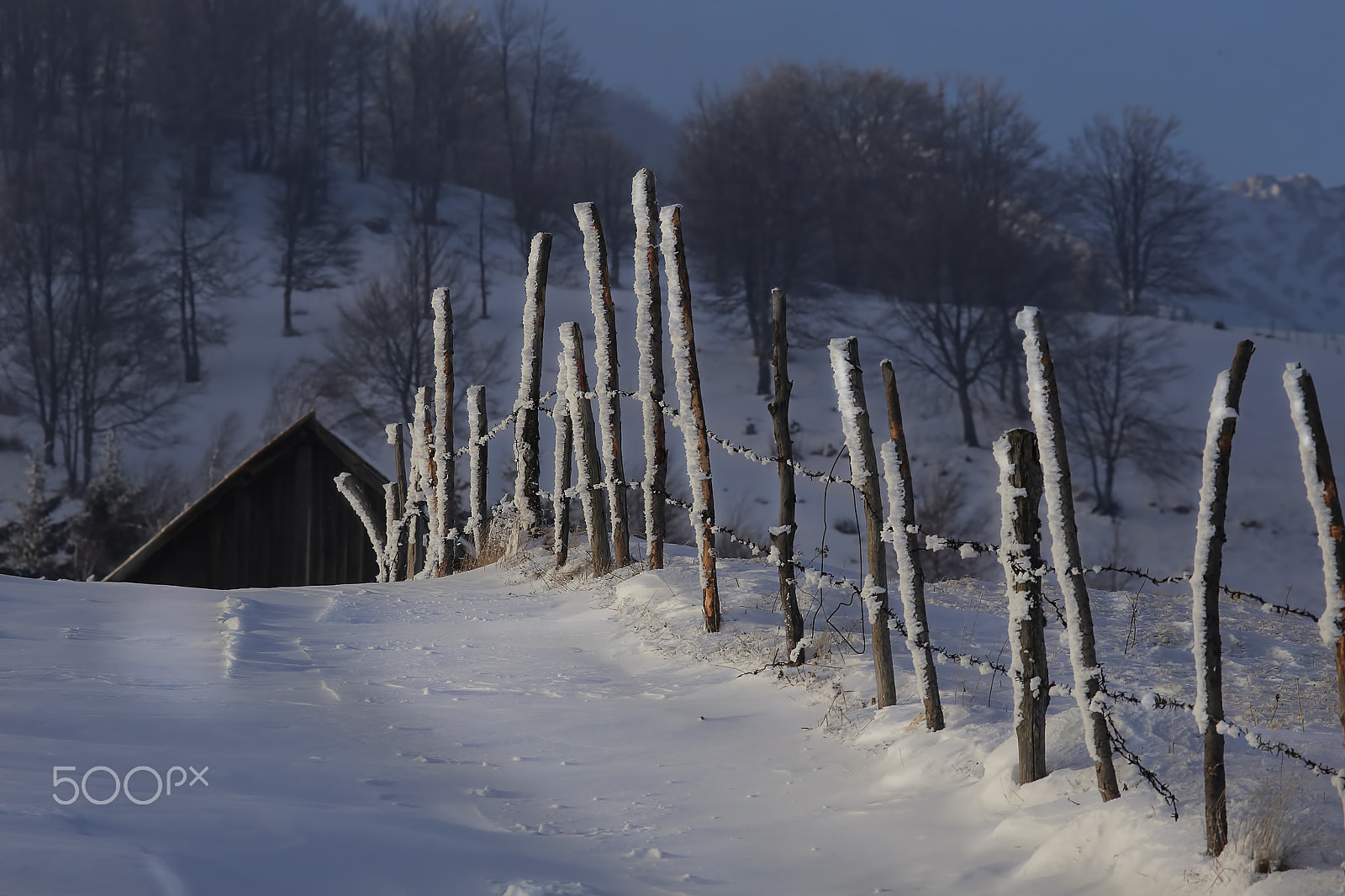 Canon EF 100-400mm F4.5-5.6L IS USM sample photo. Fence photography