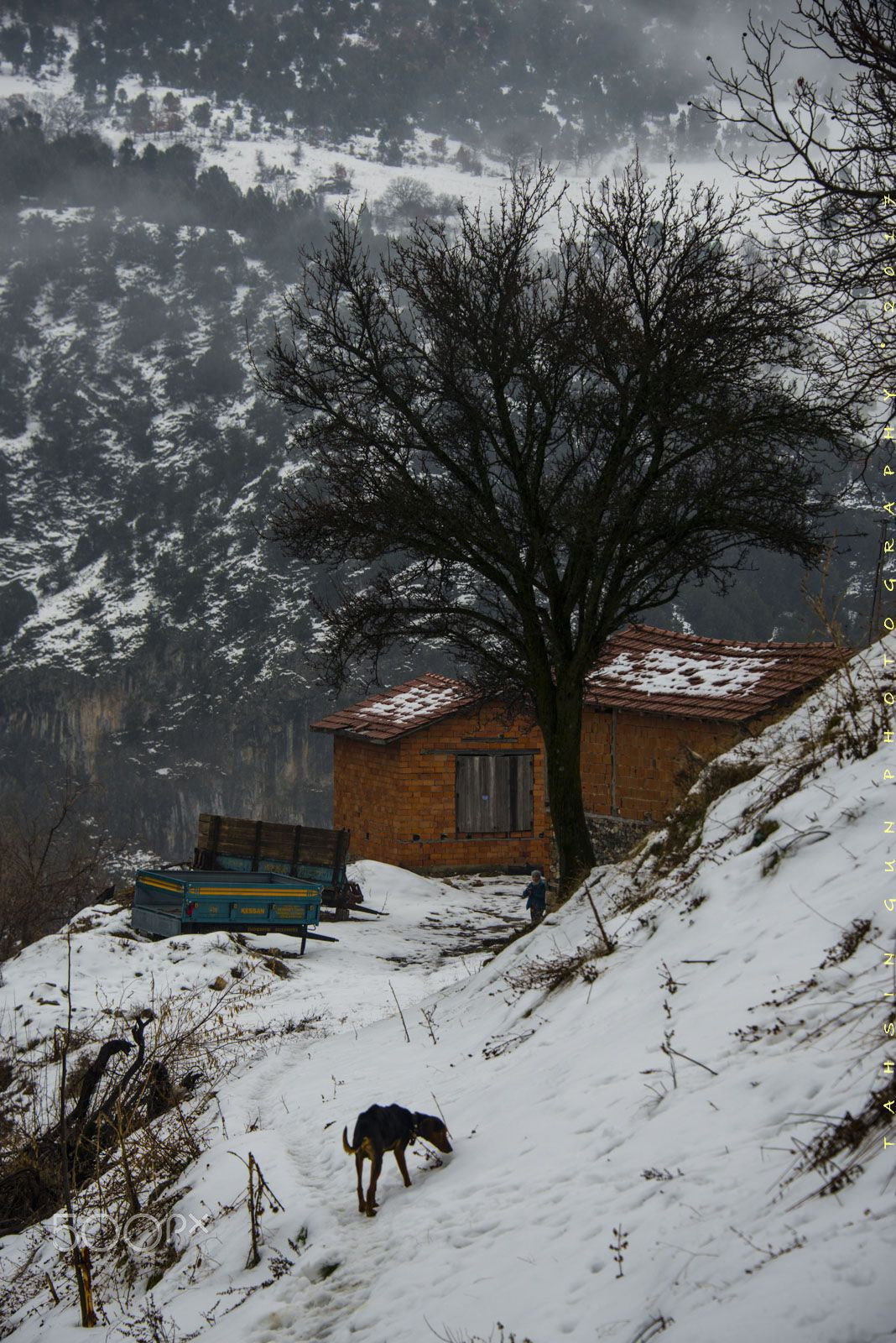 Nikon D600 sample photo. Snow photography