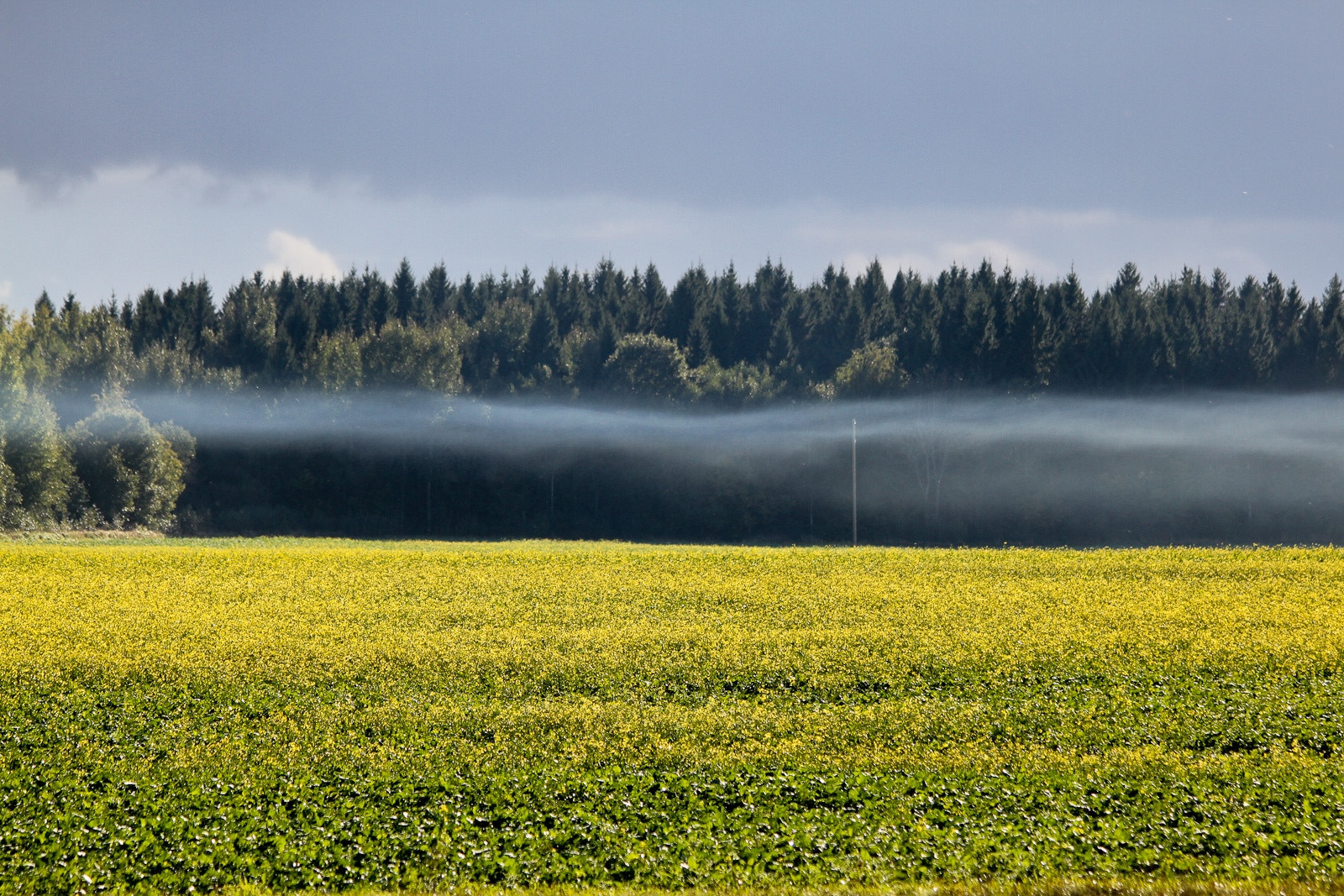 Canon EF 70-300mm F4-5.6 IS USM sample photo. Latvia before rain photography