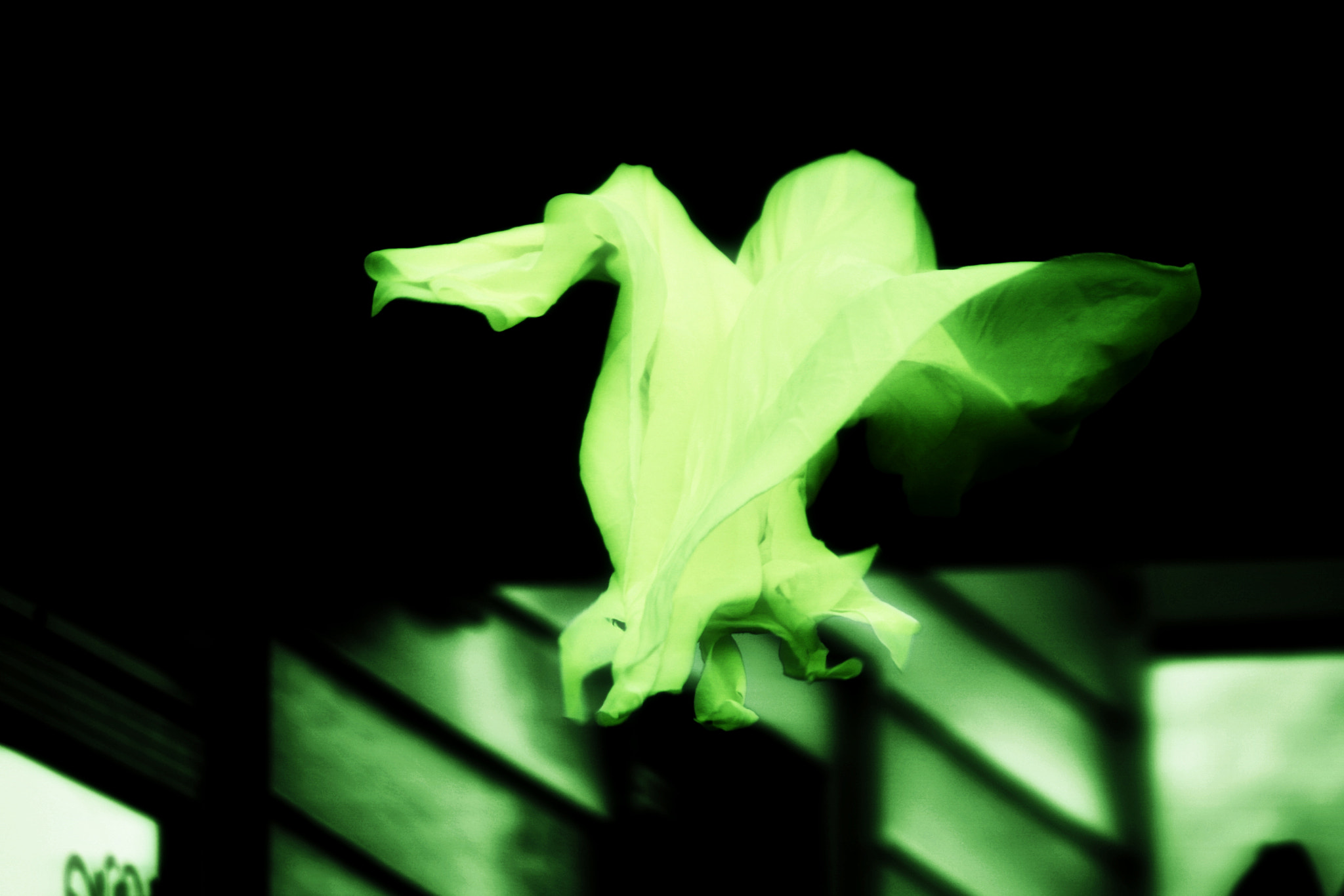 Canon EF-S 55-250mm F4-5.6 IS sample photo. Green ghost photography