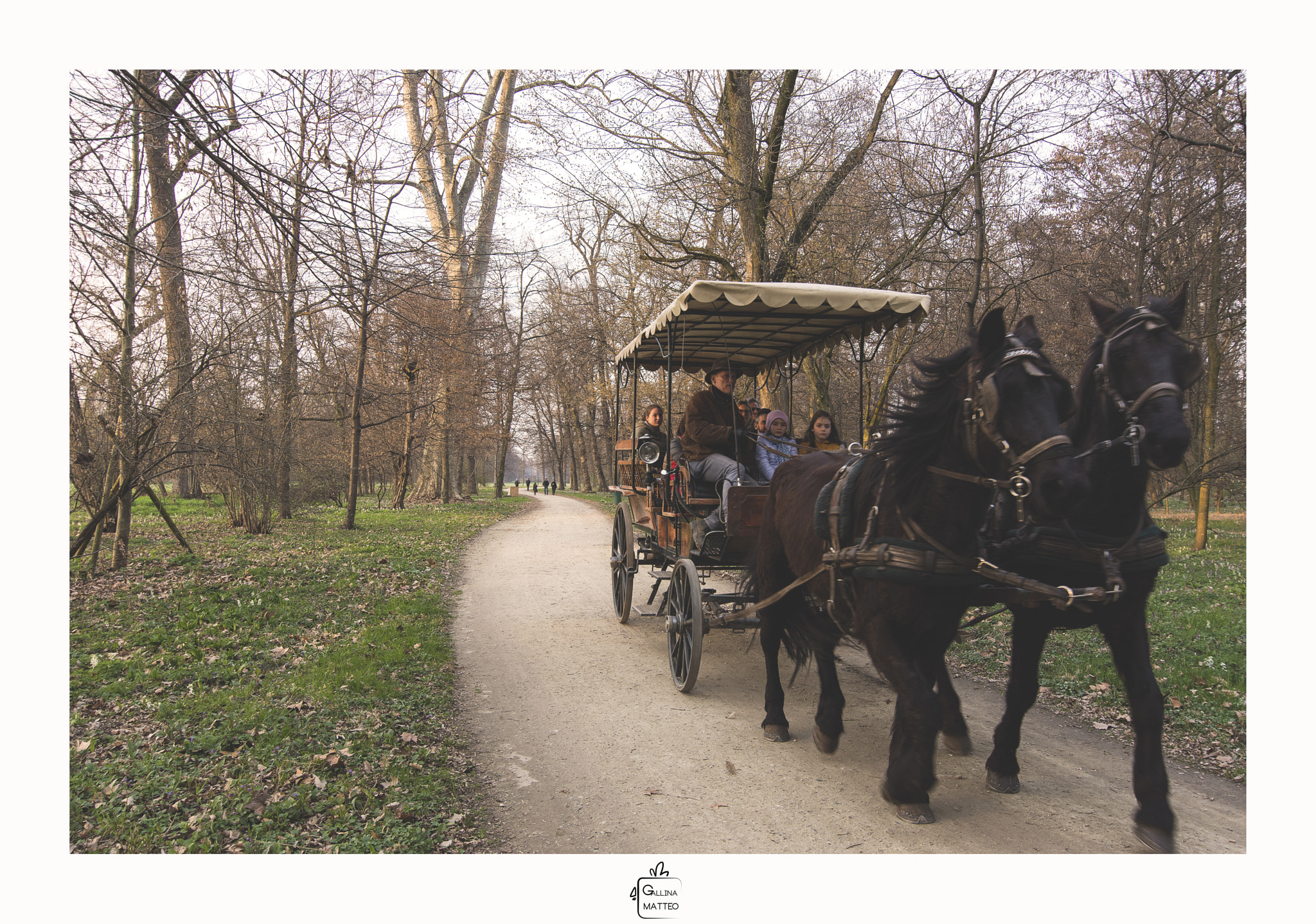 Nikon D7200 sample photo. Carriage photography