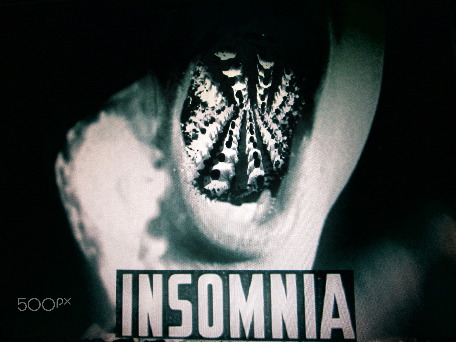 Canon PowerShot A810 sample photo. Insomnia photography