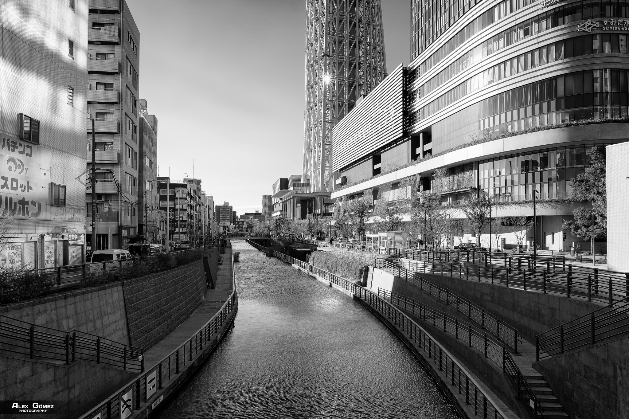 Fujifilm XF 16mm F1.4 R WR sample photo. Oshinari park photography