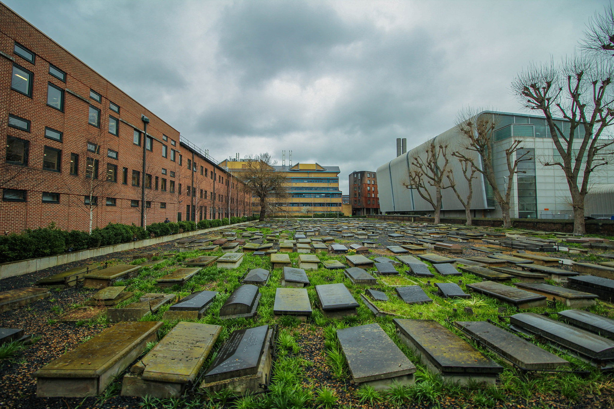 Canon EOS 60D sample photo. Novo cemetery mile end photography