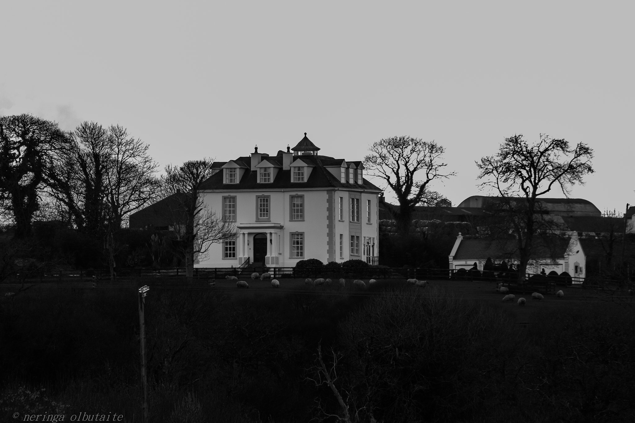 Canon EF 70-300mm F4-5.6 IS USM sample photo. One big house, one big man, one sad story photography