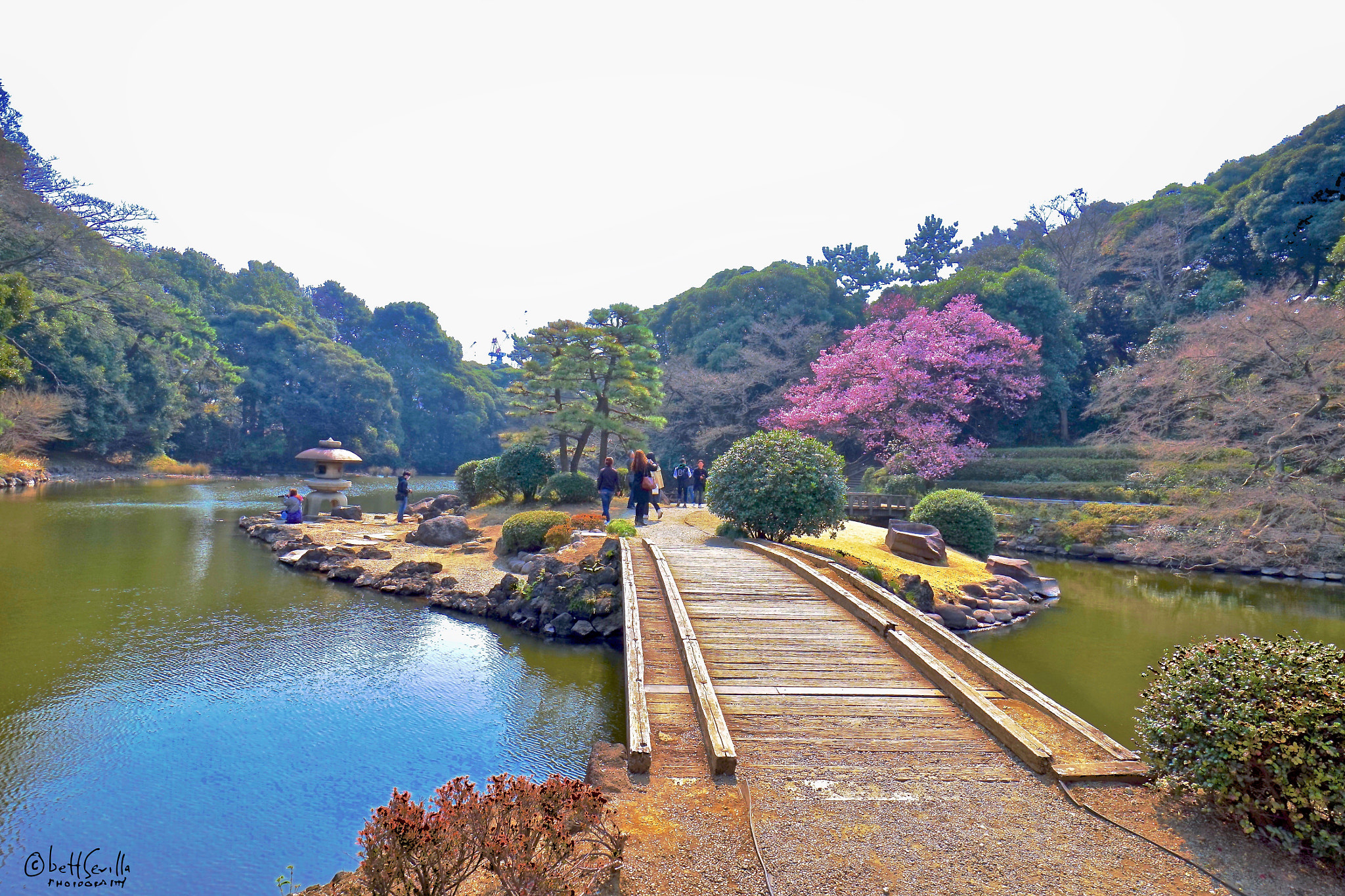 Sony E 10-18mm F4 OSS sample photo. Japanese garden photography