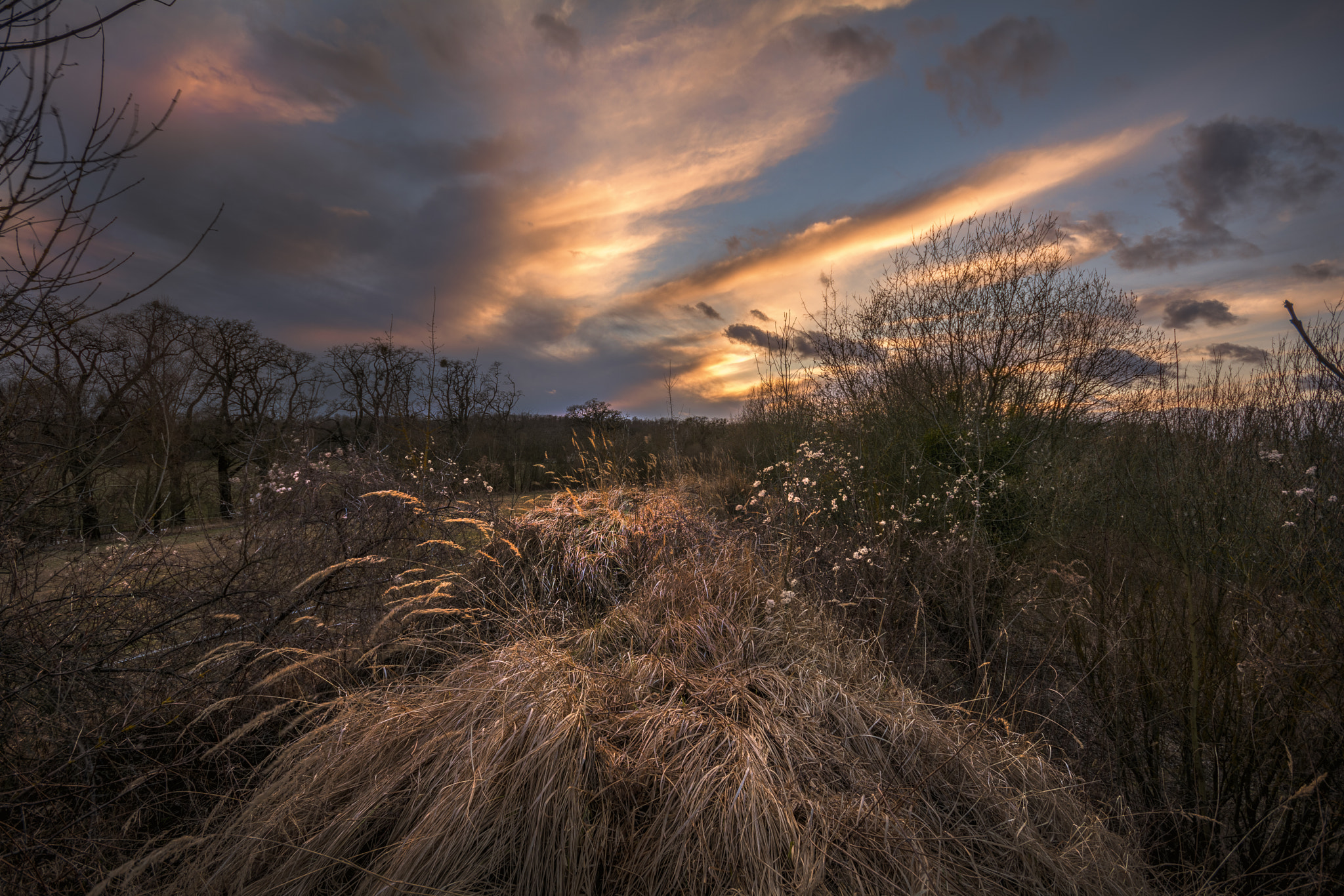 Sigma 10-20mm F4-5.6 EX DC HSM sample photo. Sunset photography