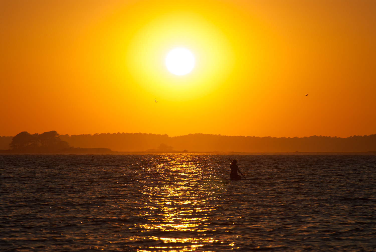 Nikon D200 sample photo. Paddling into the sunset photography