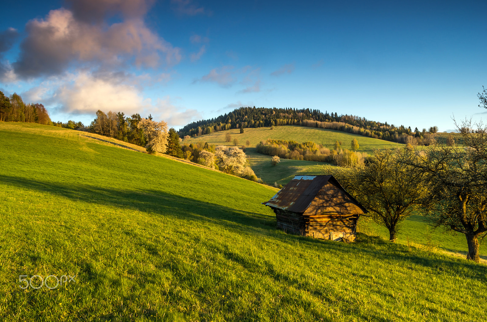 Pentax K-5 sample photo. Mountain meadow photography