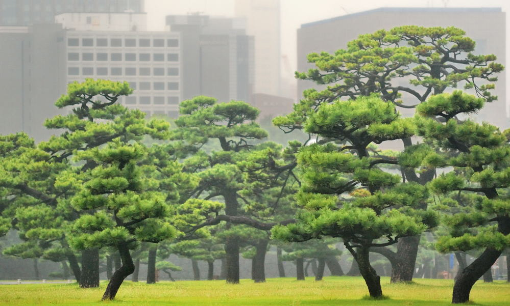 AF Zoom-Nikkor 70-210mm f/4 sample photo. 【vd视觉记忆】【2013.10.02】古作东京 photography